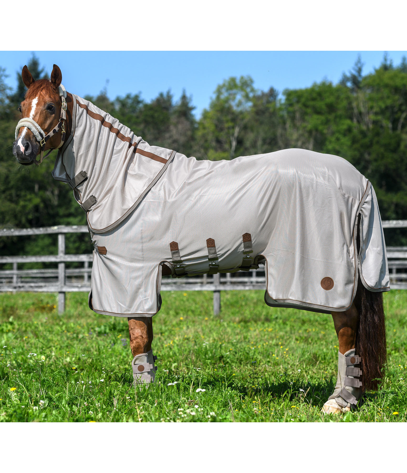 Fullneck-Fliegendecke Timeless Elegance mit abnehmbarem Halsteil