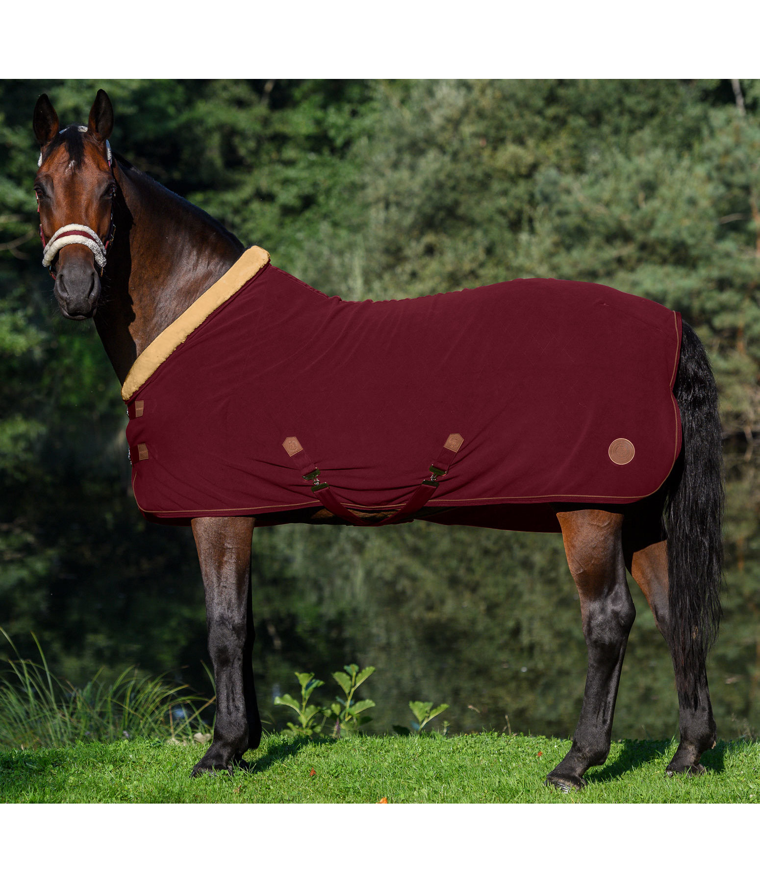 Fleece-Abschwitzdecke Timeless Elegance mit Teddyfleece-Kragen