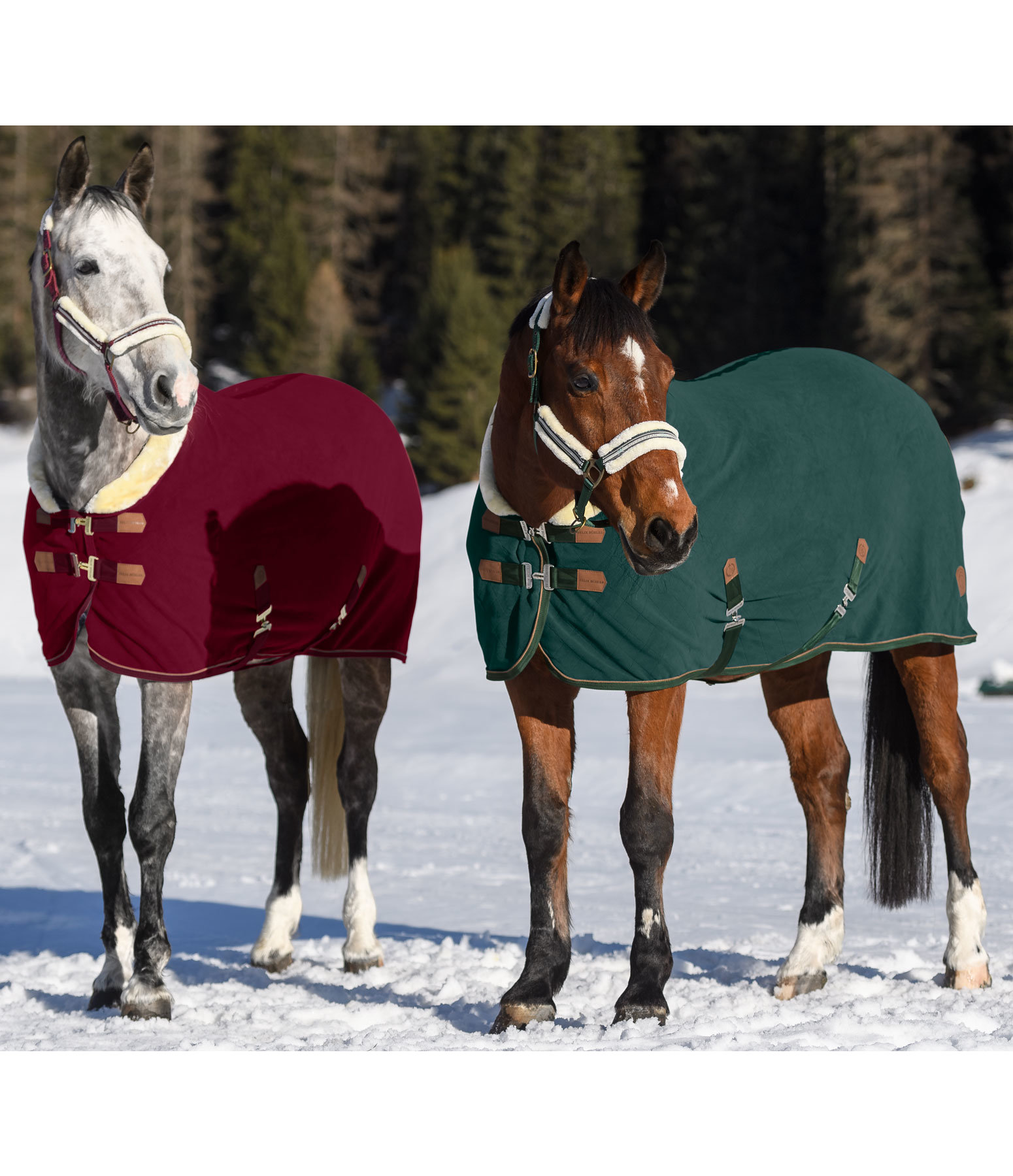 Fleece-Abschwitzdecke Timeless Elegance mit Teddyfleece-Kragen