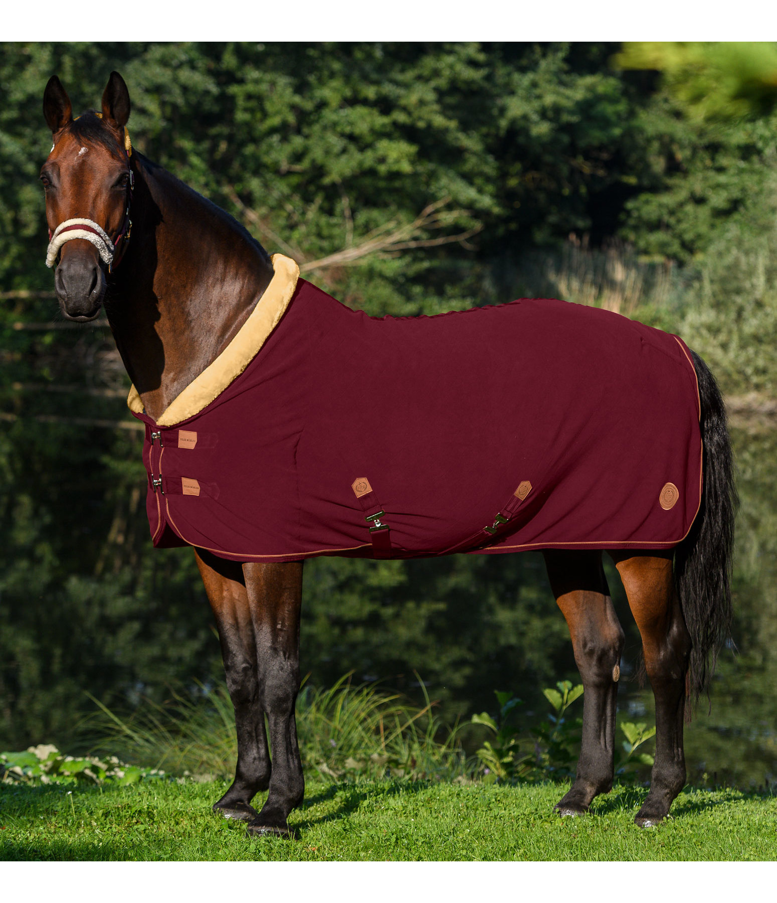 Fleece-Abschwitzdecke Timeless Elegance mit Teddyfleece-Kragen