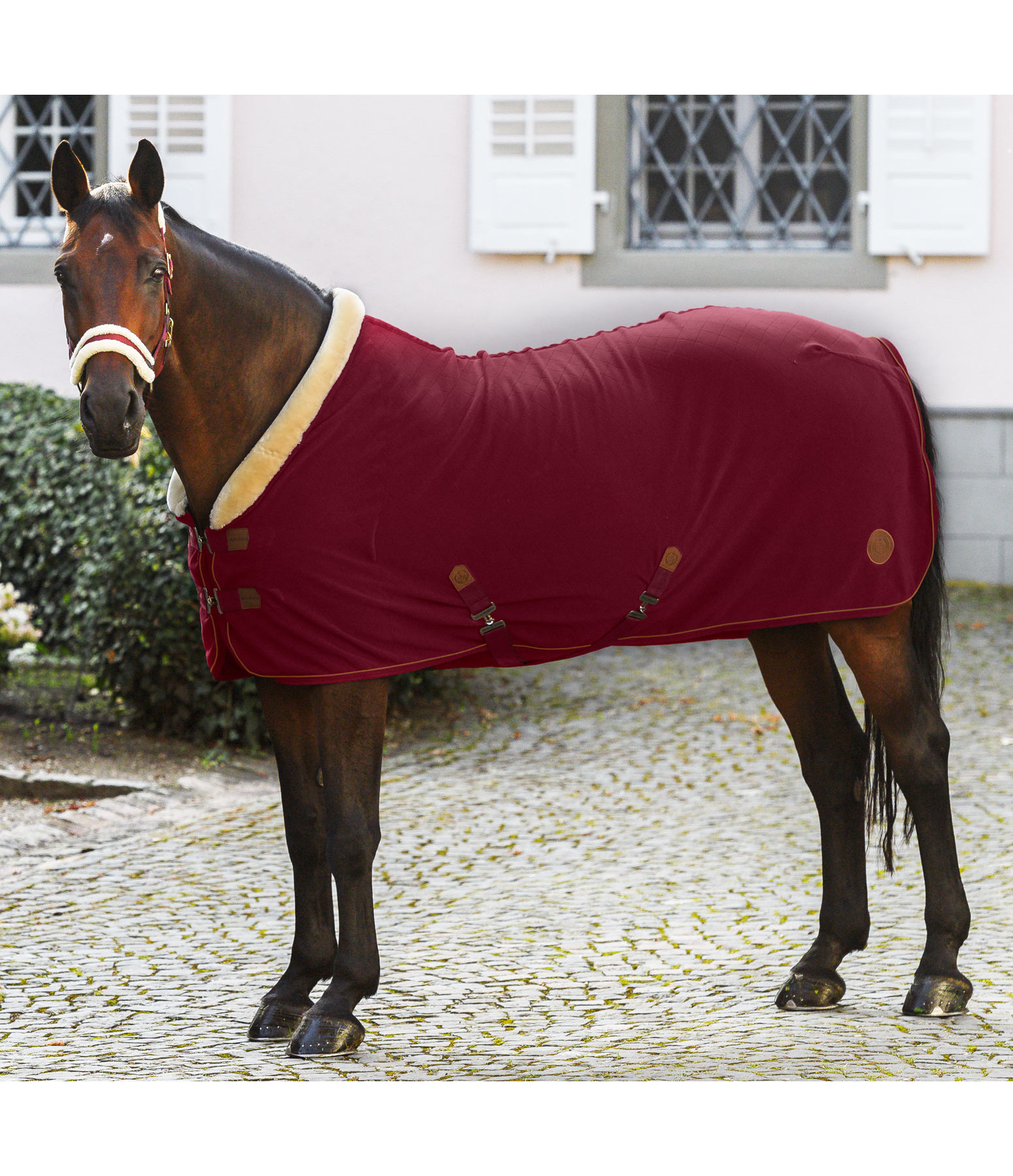 Fleece-Abschwitzdecke Timeless Elegance mit Teddyfleece-Kragen