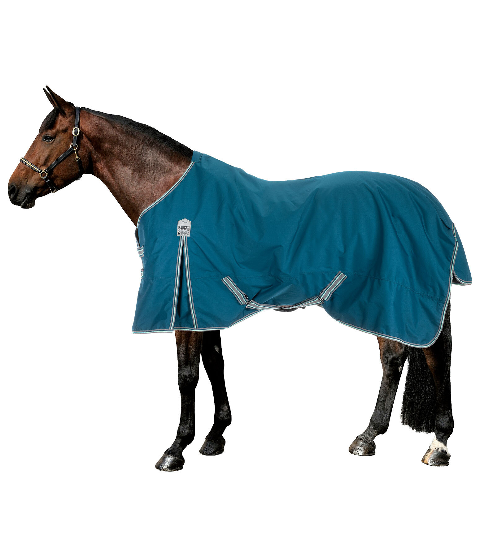 Regendecke-Fliegendecke  für die Koppel NEU 175 cm mit Halsteil 