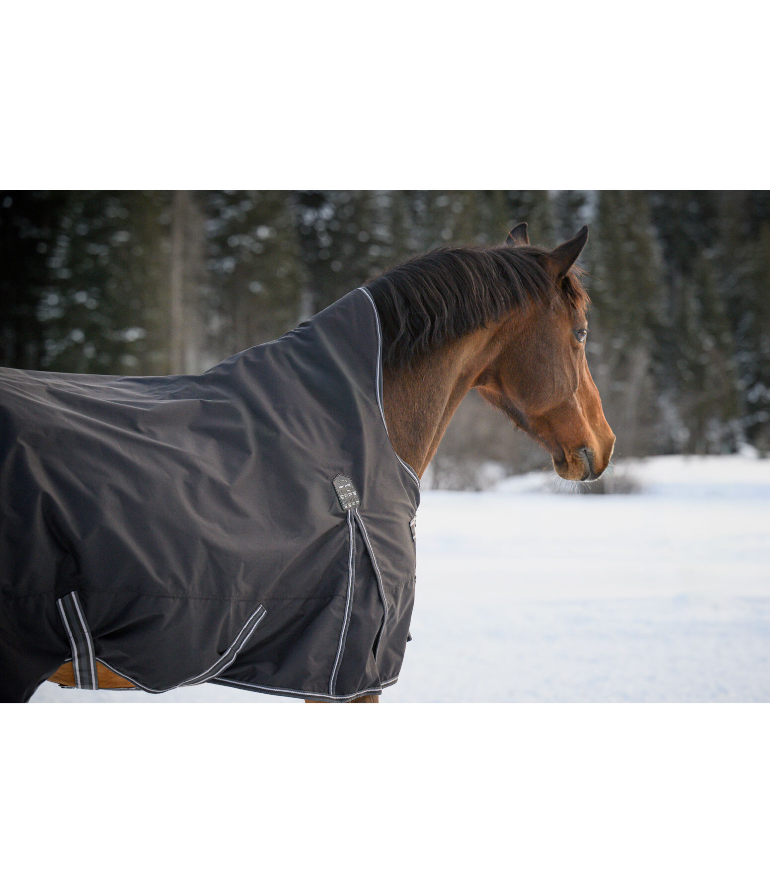 Highneck Outdoordecke Kalina II, 300 g