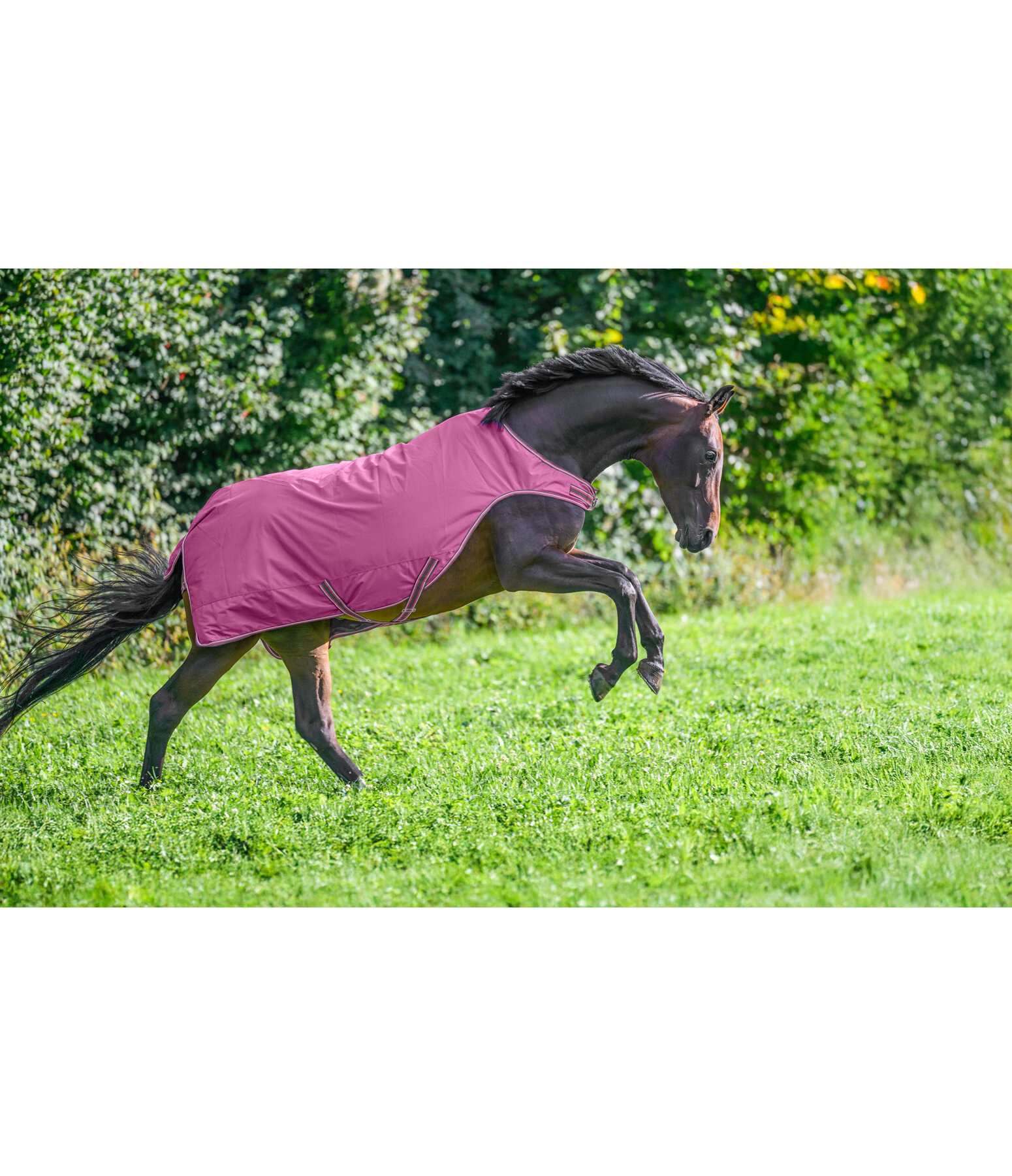 Outdoor-Walker Kasimo II, 0 g