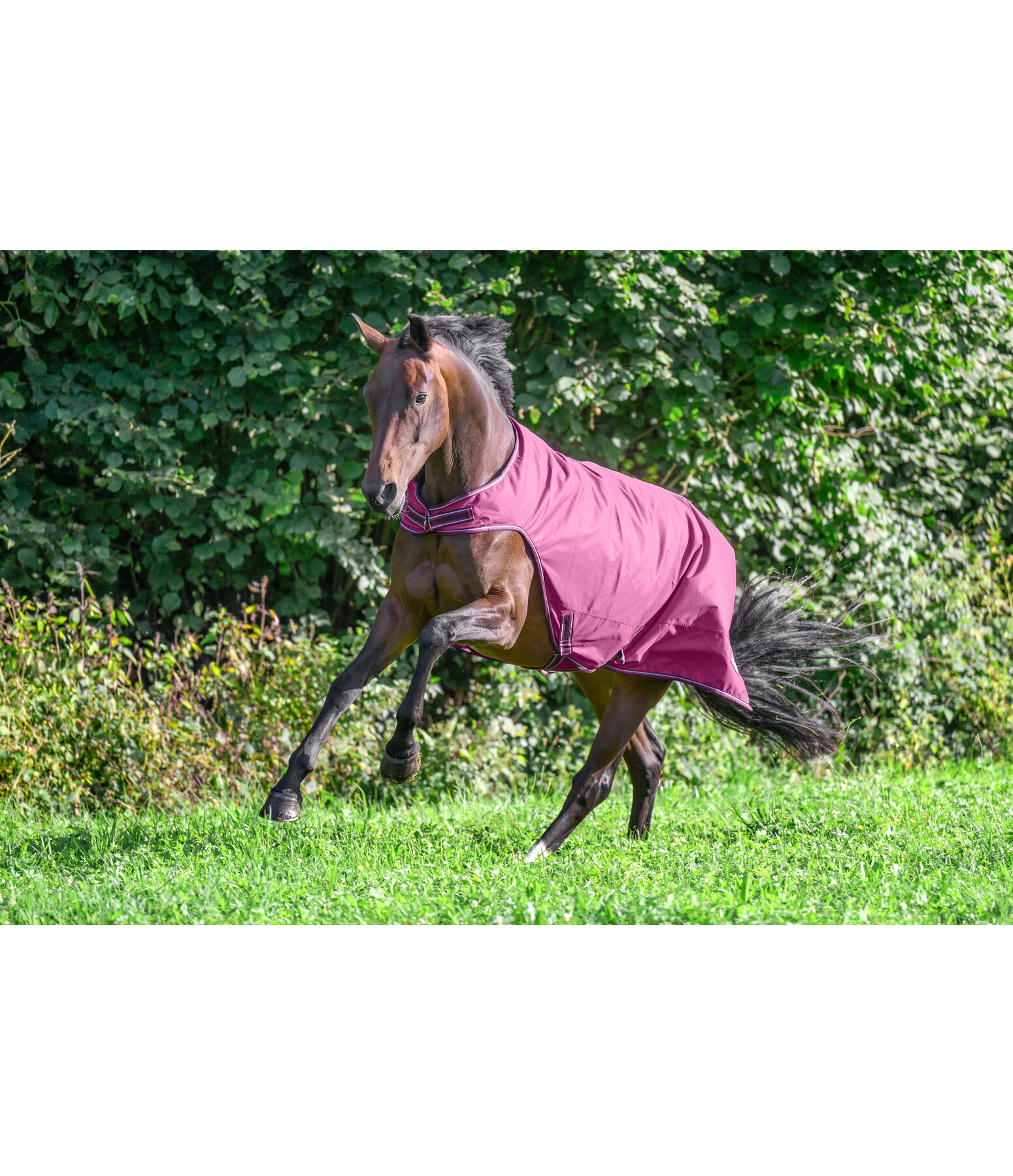 Outdoor-Walker Kasimo II, 0 g