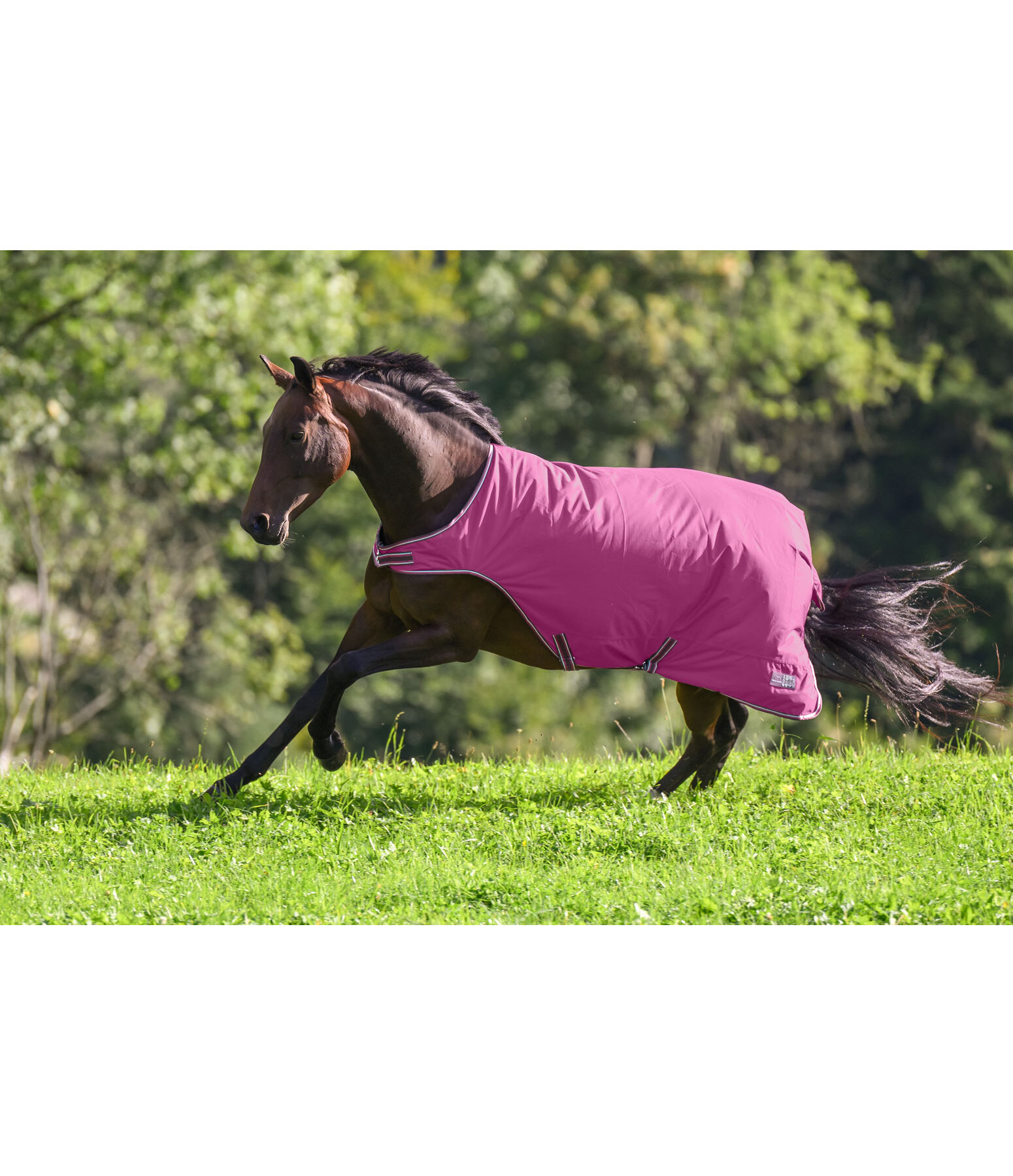 Outdoor-Walker Kasimo II, 0 g