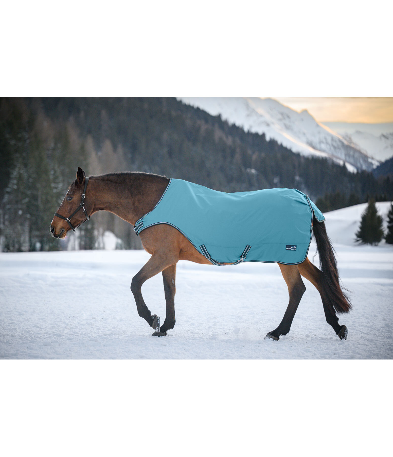 Outdoor-Walker Kasimo II, 0 g