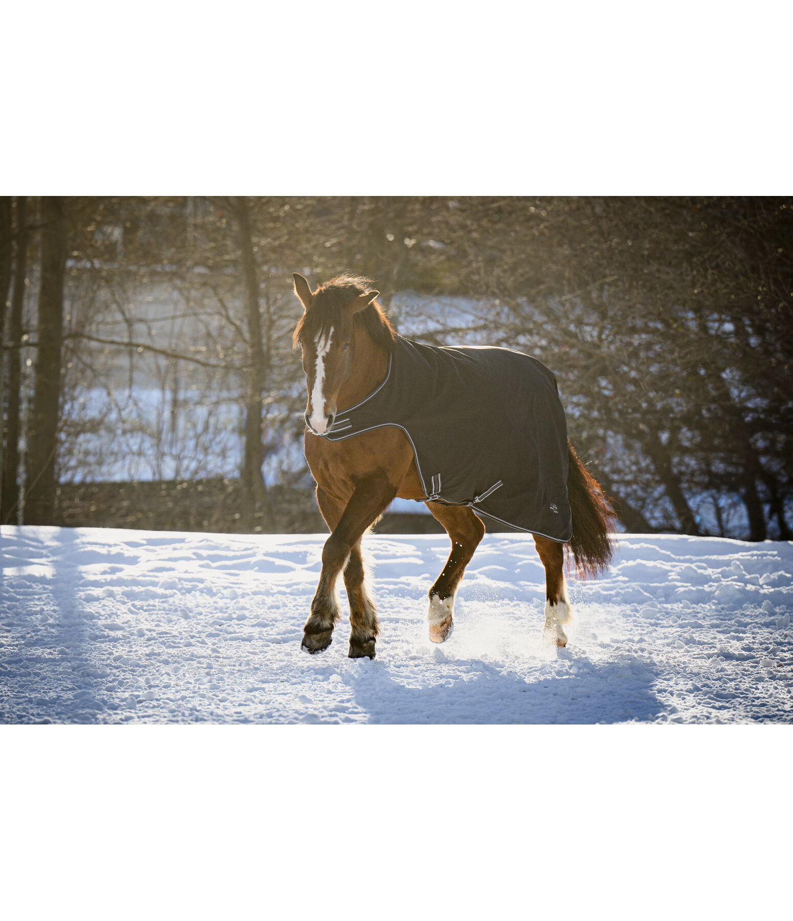 Outdoor-Walker Kasimo II, 0 g