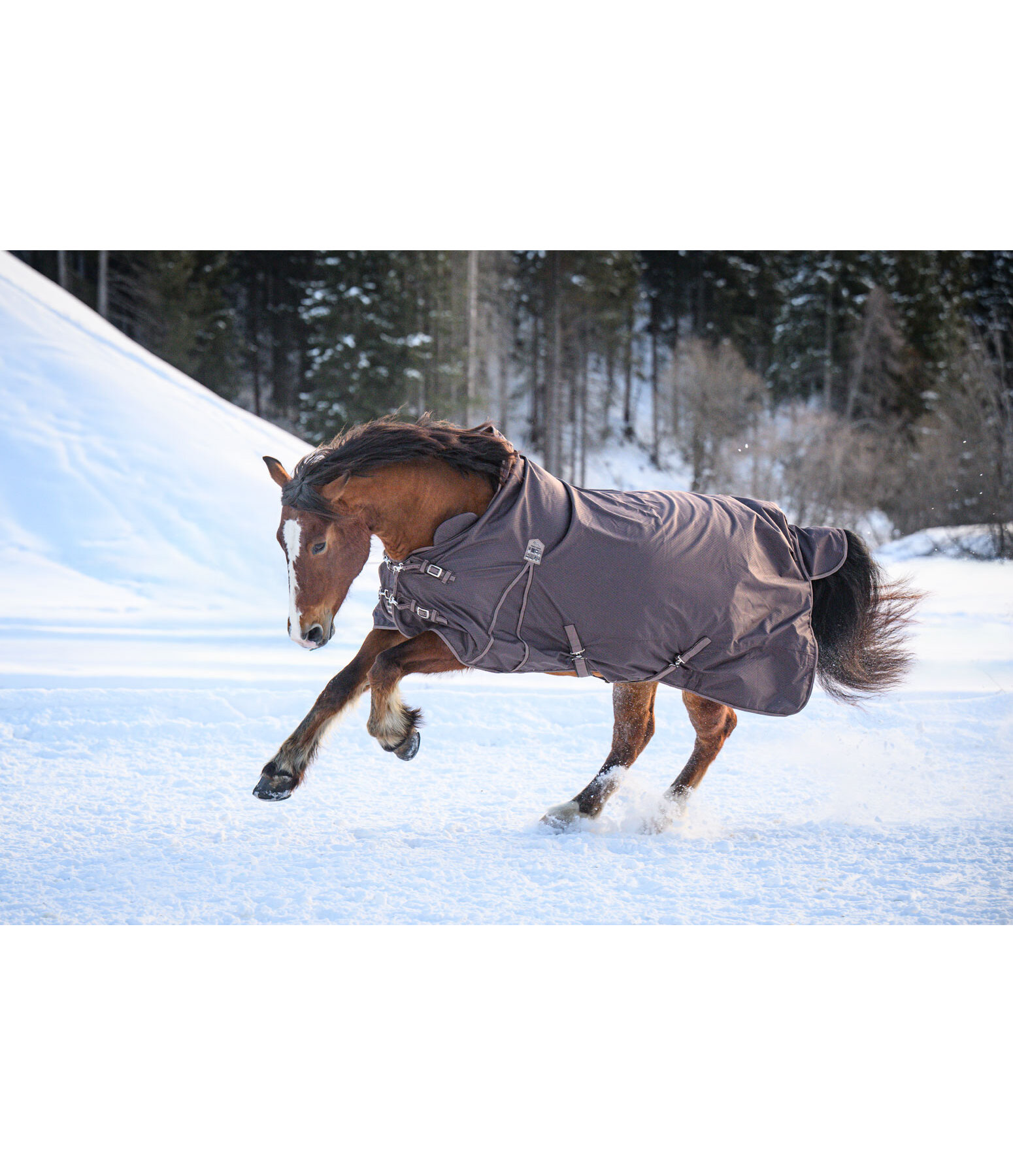 Highneck Outdoordecke Jesco II mit Fleeceinnenfutter, 0 g