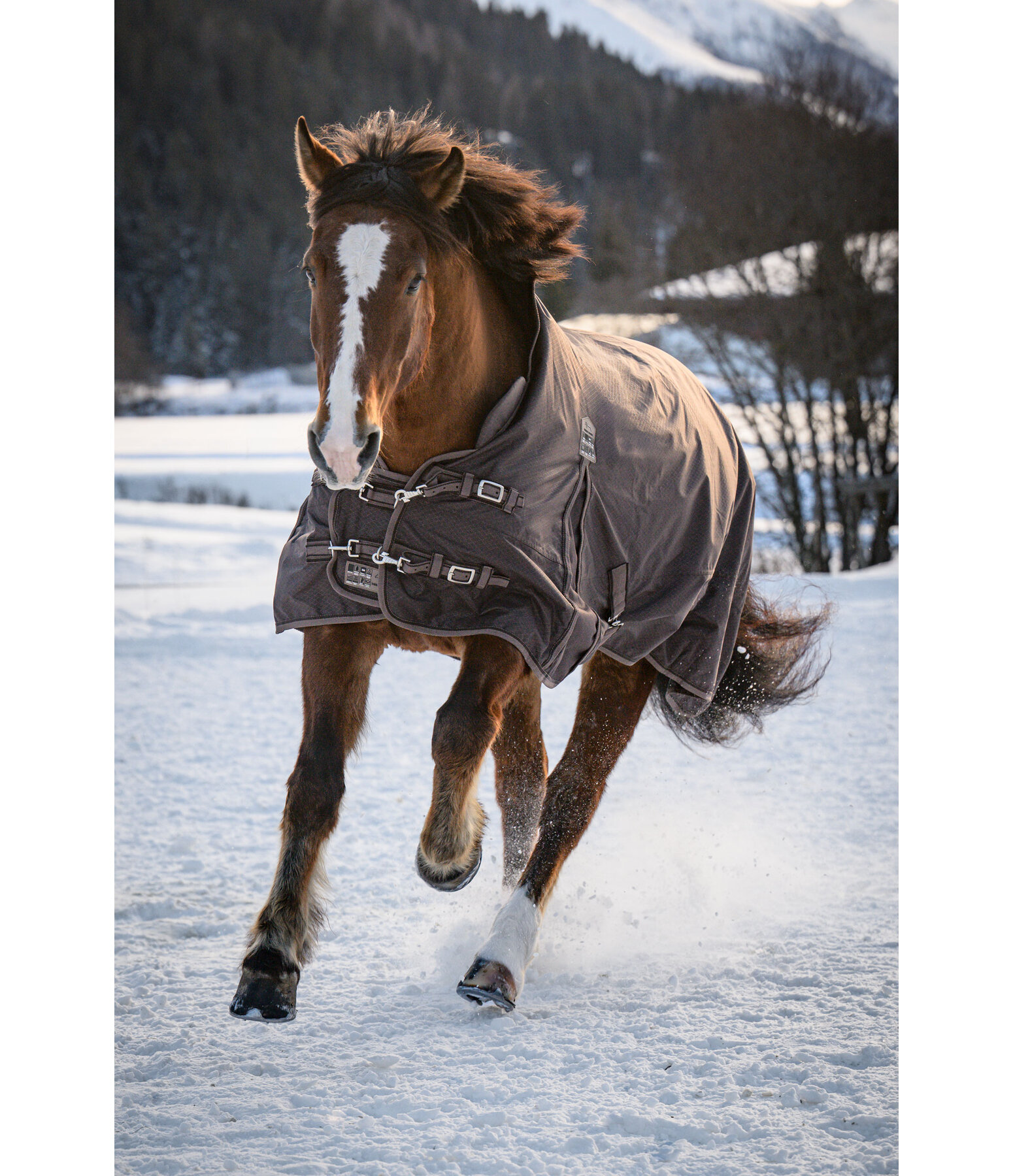Highneck Outdoordecke Jesco II mit Fleeceinnenfutter, 100 g