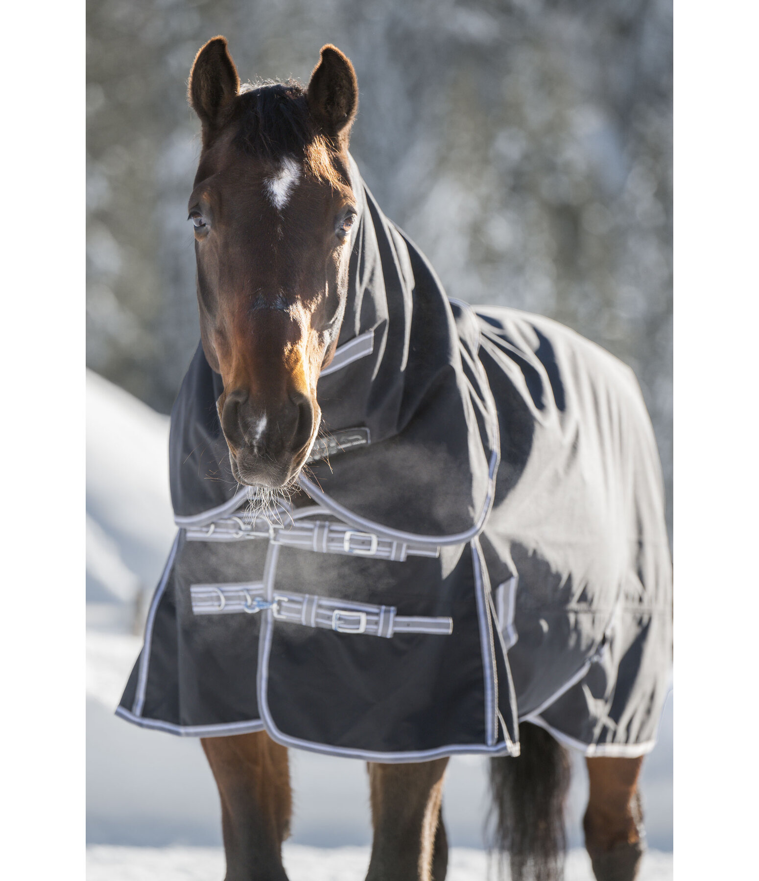 Kombi-System Regularneck Outdoordecke Janice, 0 g