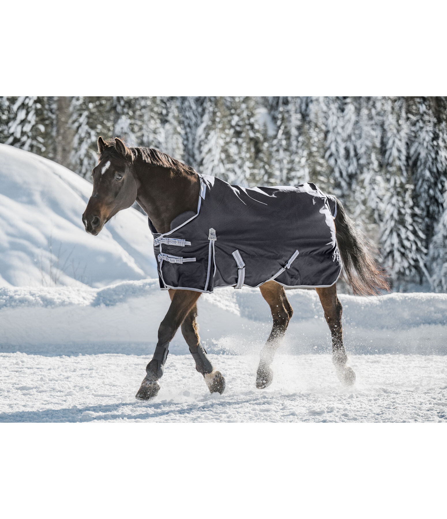 Kombi-System Regularneck Outdoordecke Janice, 0 g