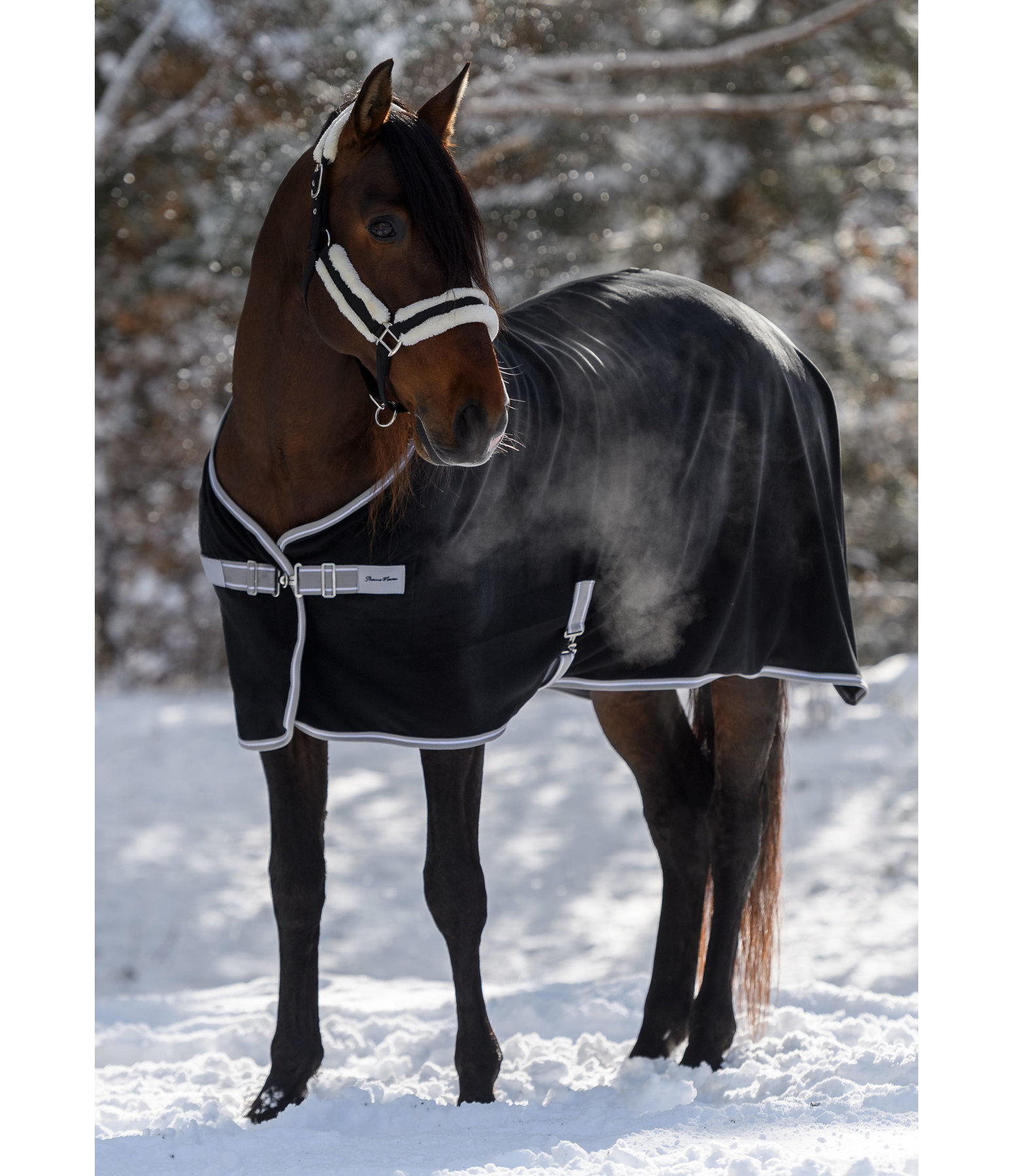 Fleece-Abschwitzdecke Basic