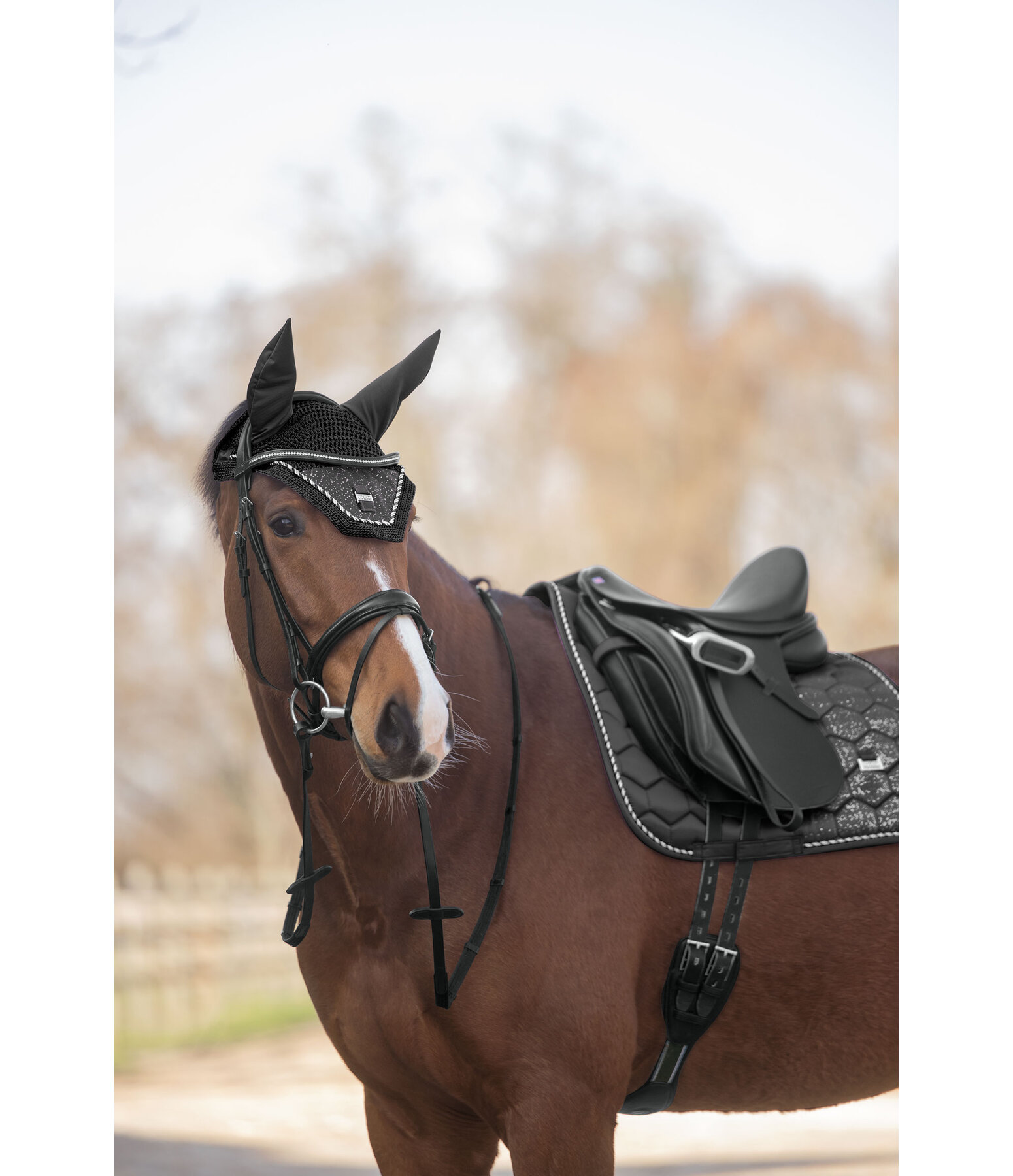 Fliegenhaube Sparkling II