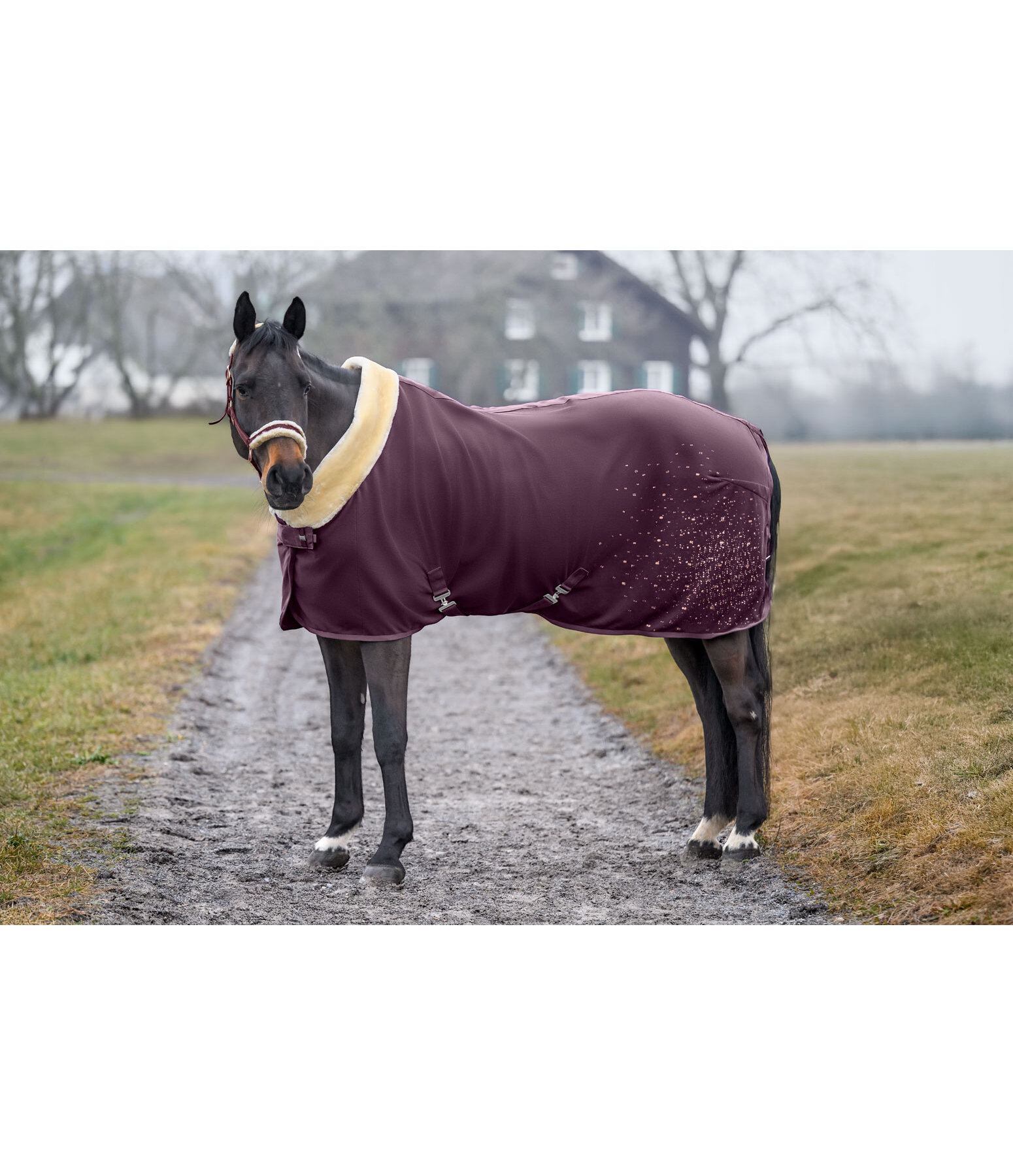 Funktions-Fleece-Abschwitzdecke Sparkling II