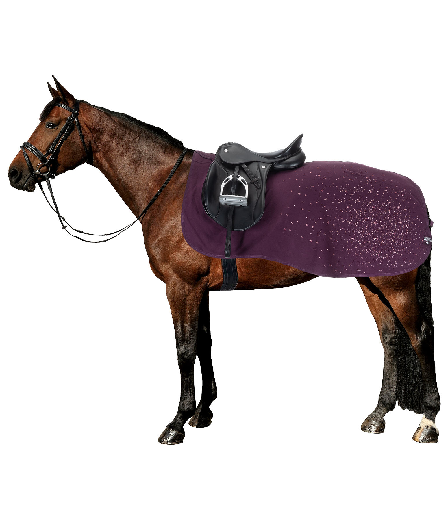 Funktions-Fleece-Ausreitdecke Sparkling II