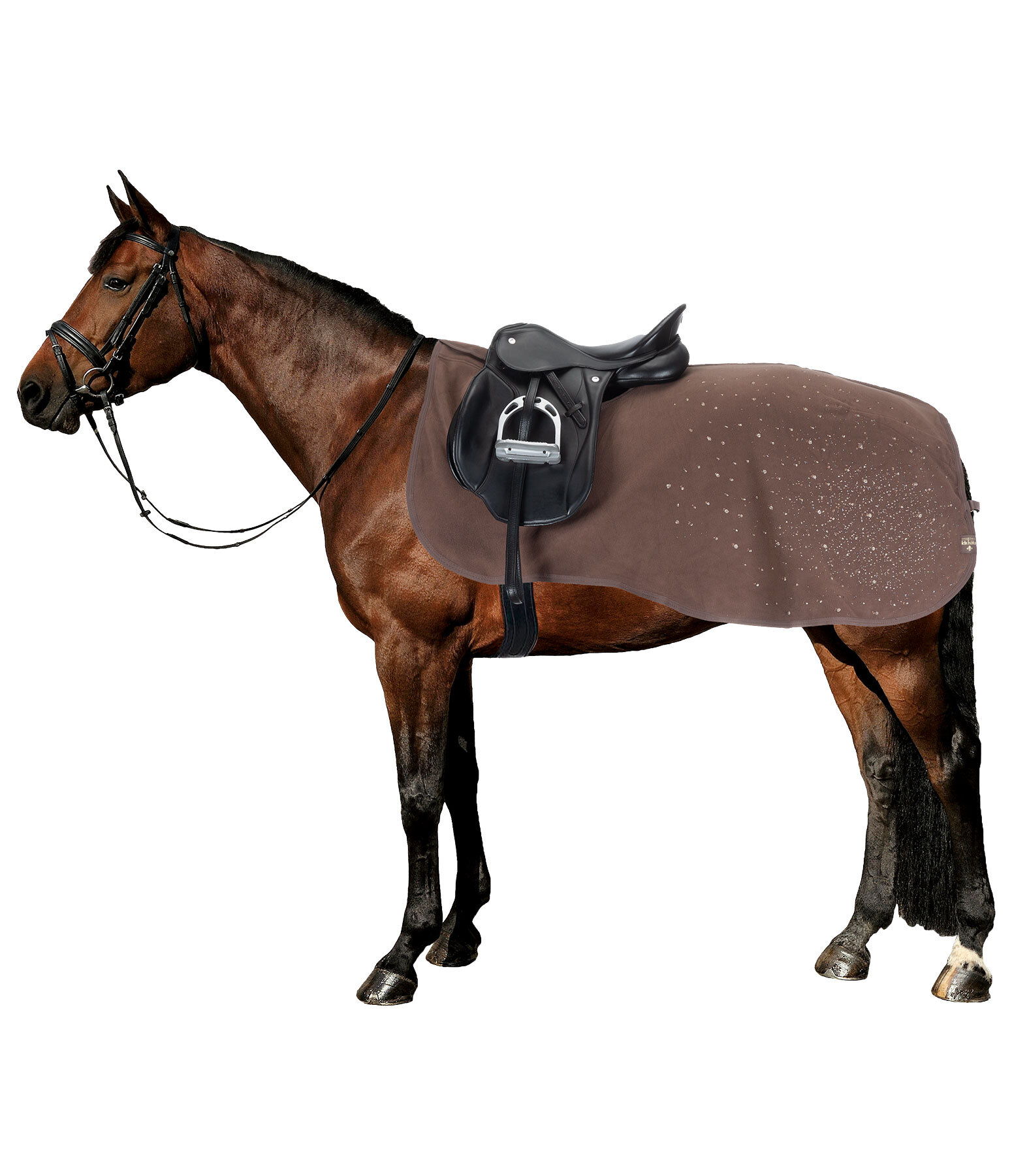 Funktions-Fleece-Ausreitdecke Sparkling II