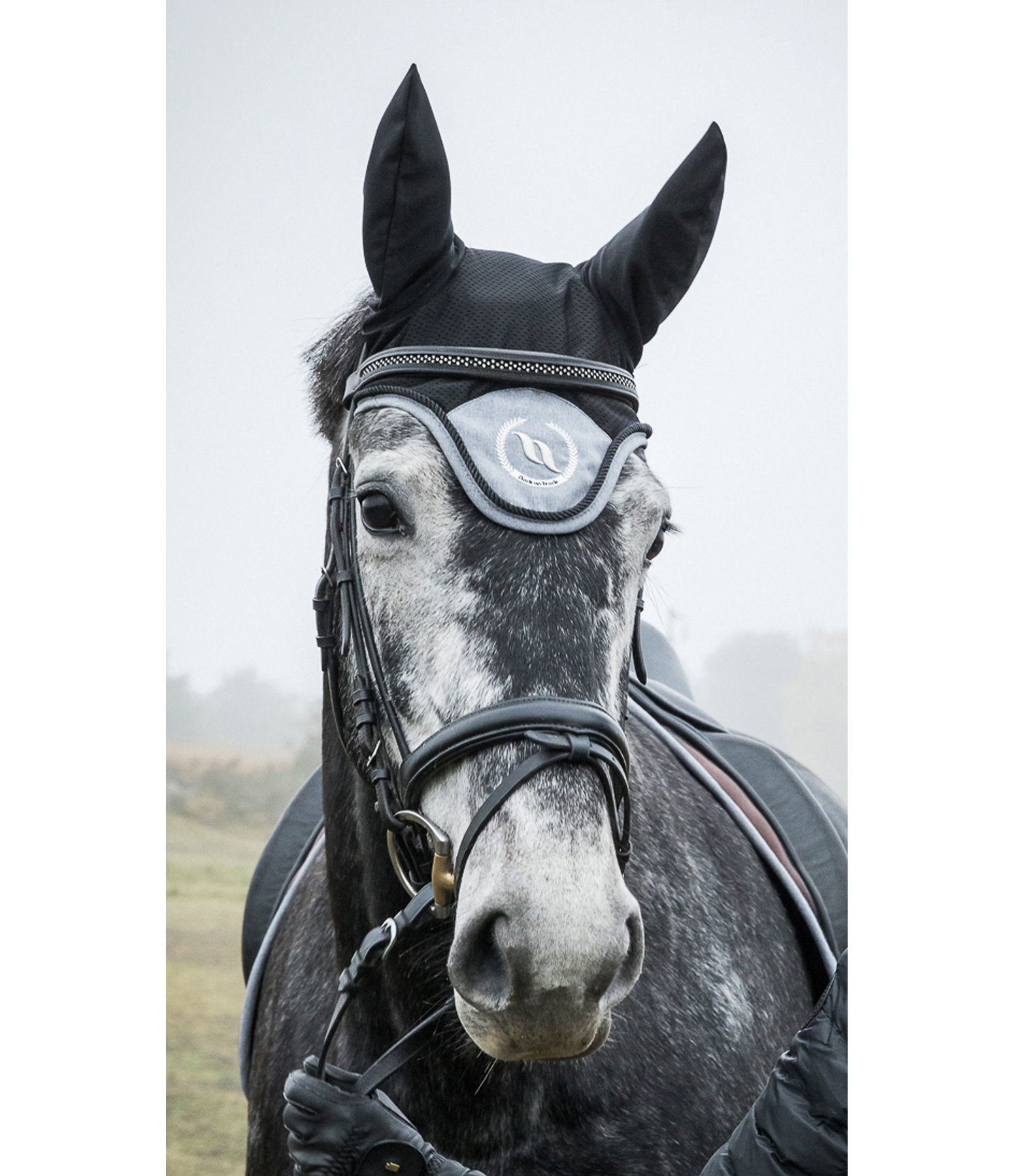 Fliegenhaube Haze Collection