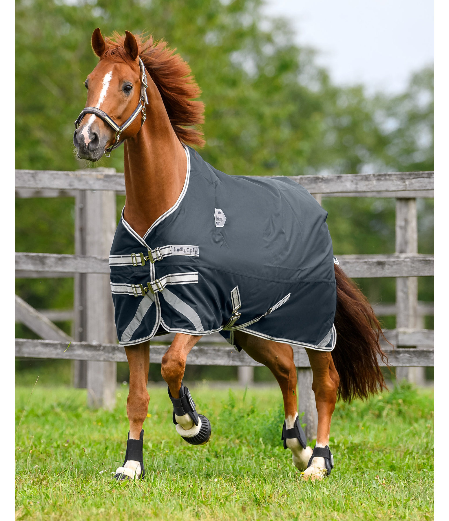 Regularneck Outdoordecke Paddock Reflective, 0 g