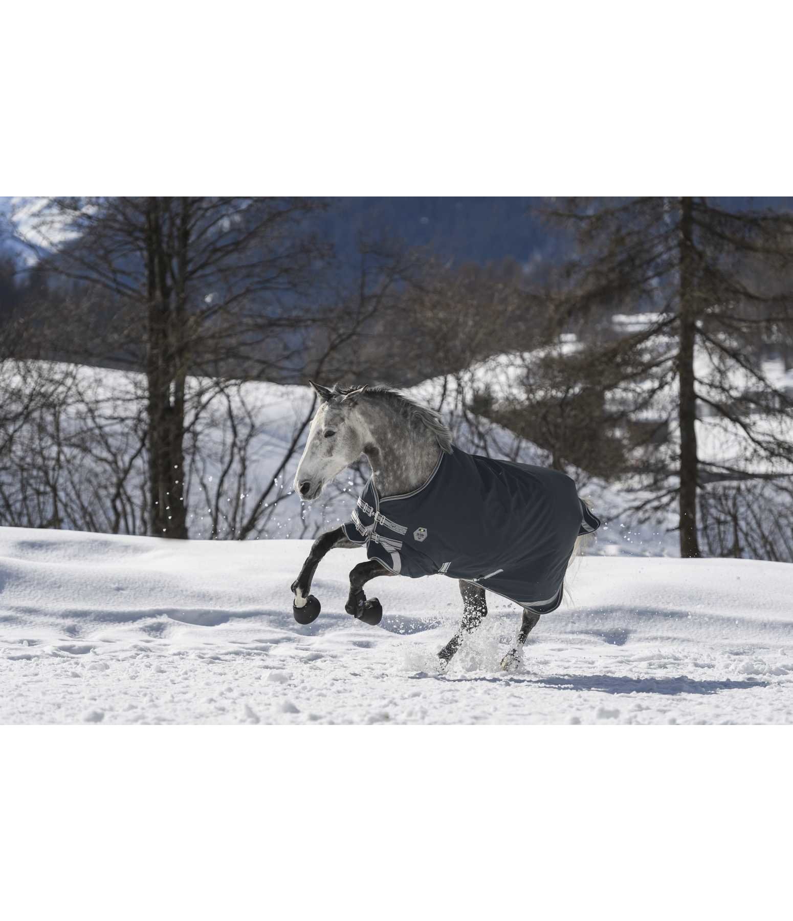 Regularneck Outdoordecke Paddock Reflective, 100 g