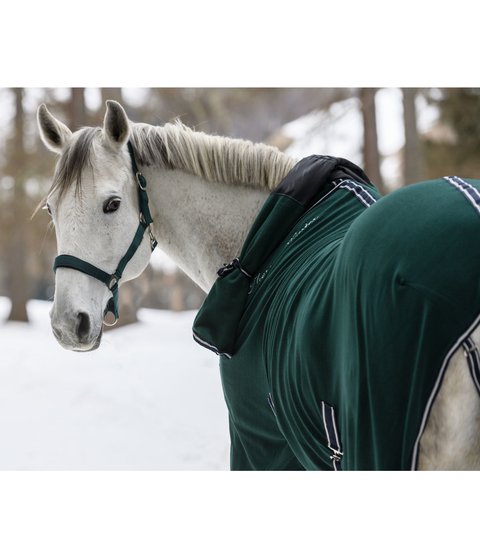 Funktions-Abschwitzdecke Terry Towel II mit Halsteil