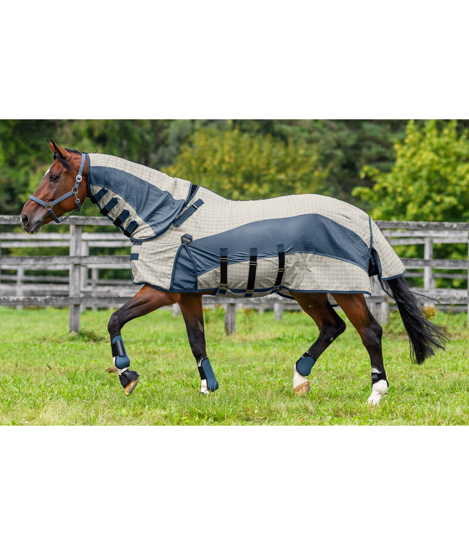 Fullneck-Baumwoll-Fliegen- und Ekzemerdecke Fynbos, UV 50 % +