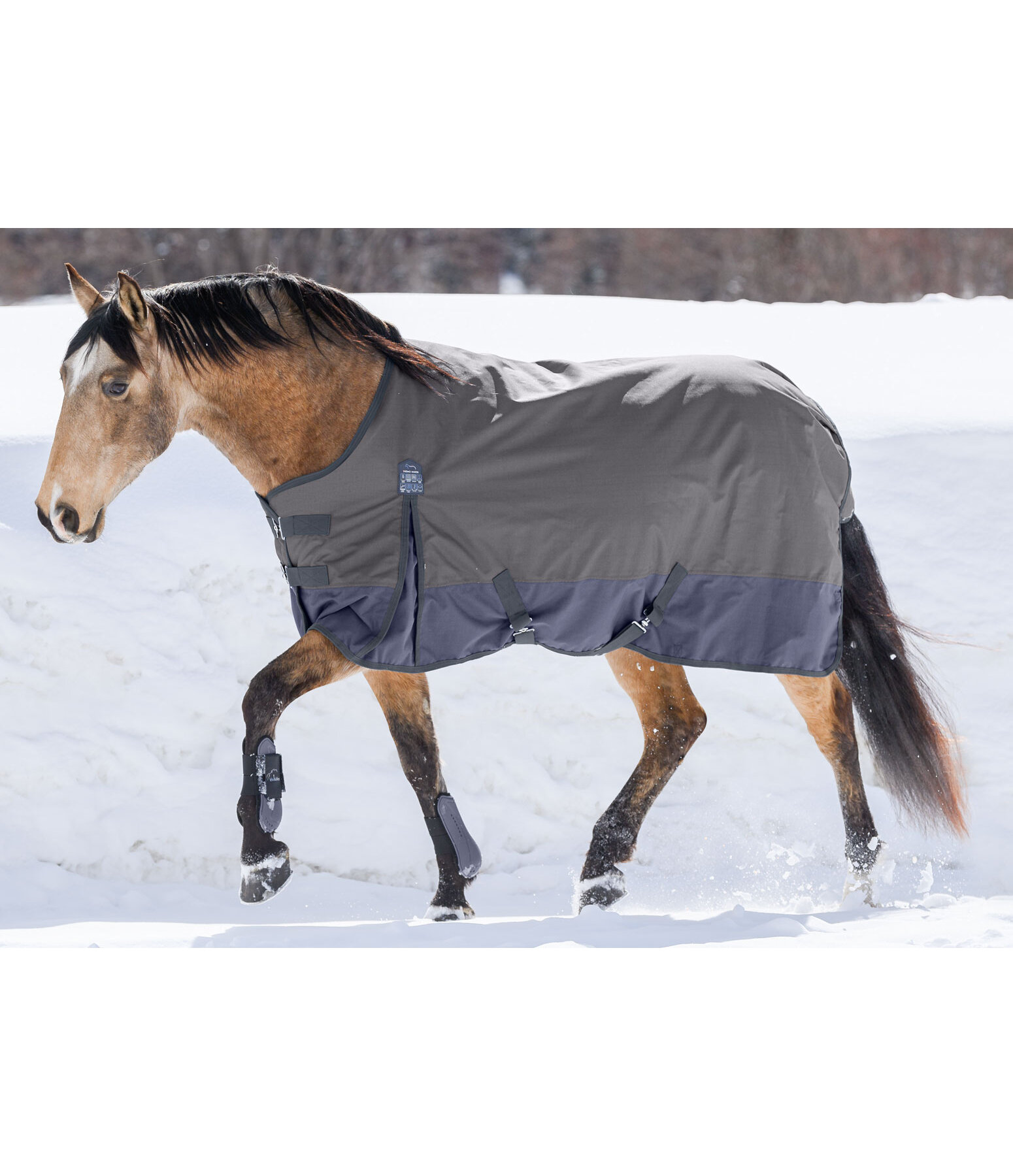Regularneck Outdoordecke Aidan, 150 g