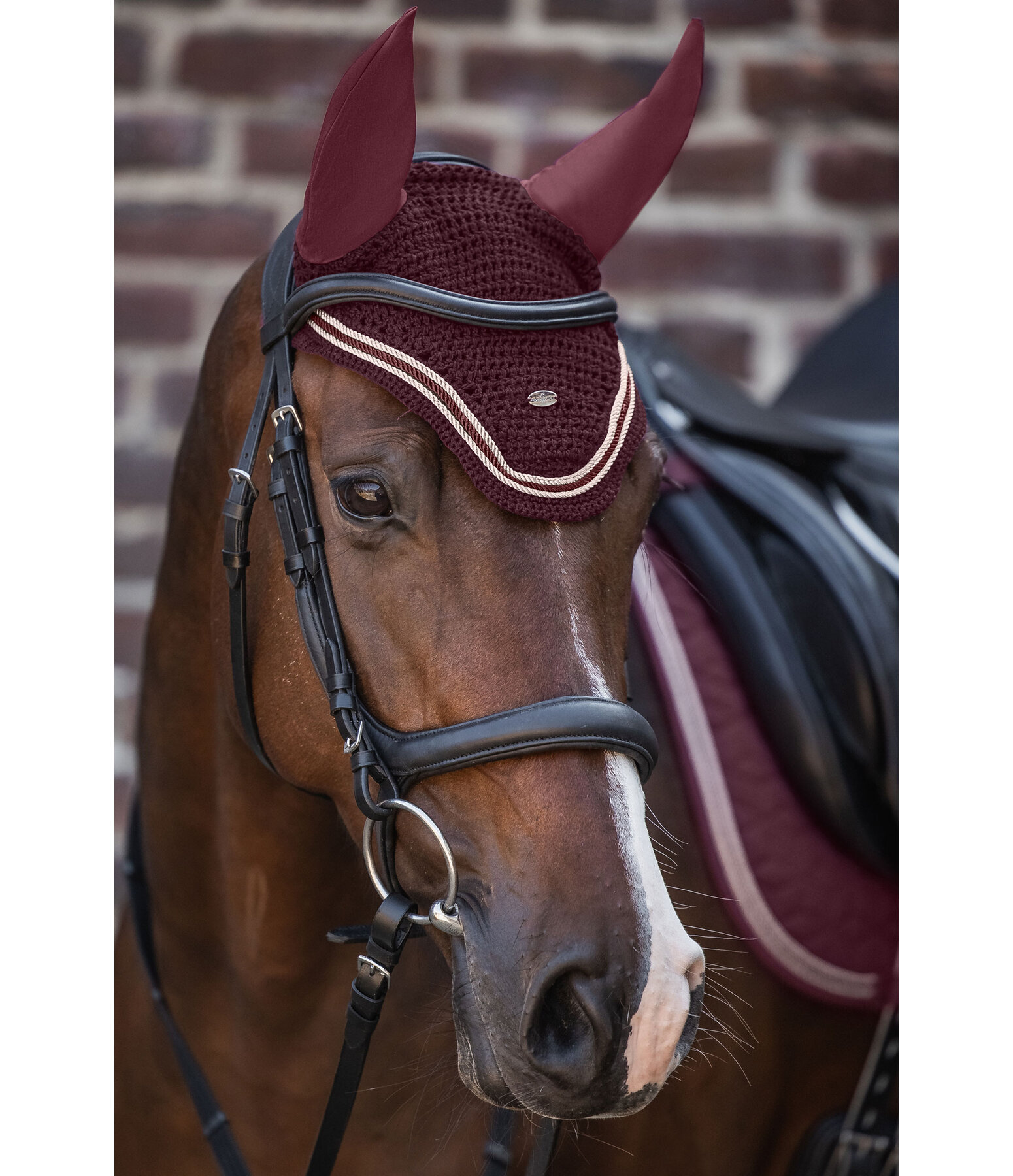 Fliegenhaube Just Sparkle