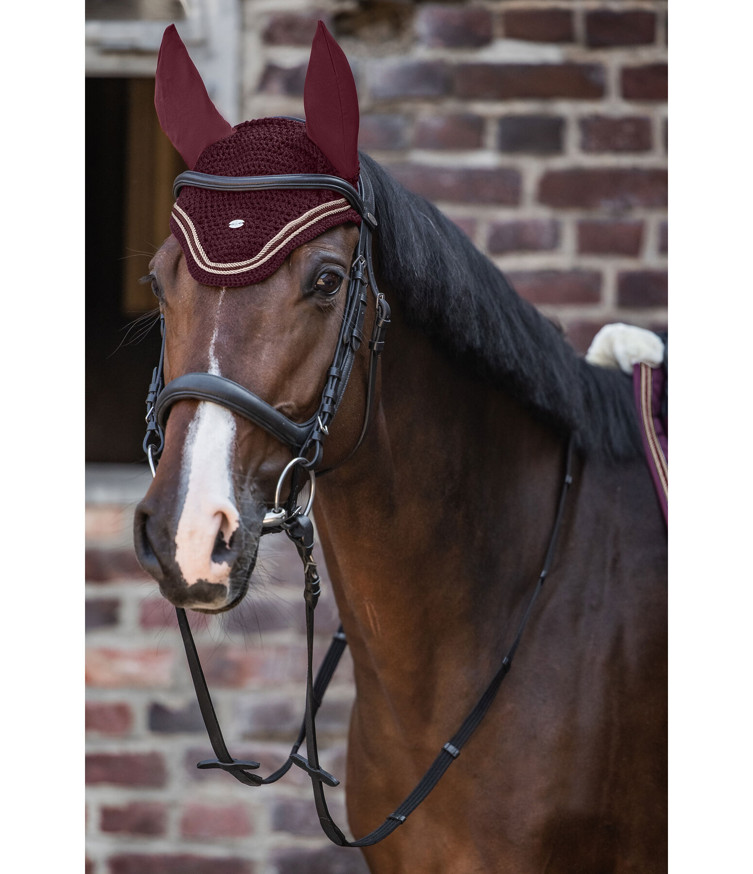 Fliegenhaube Just Sparkle