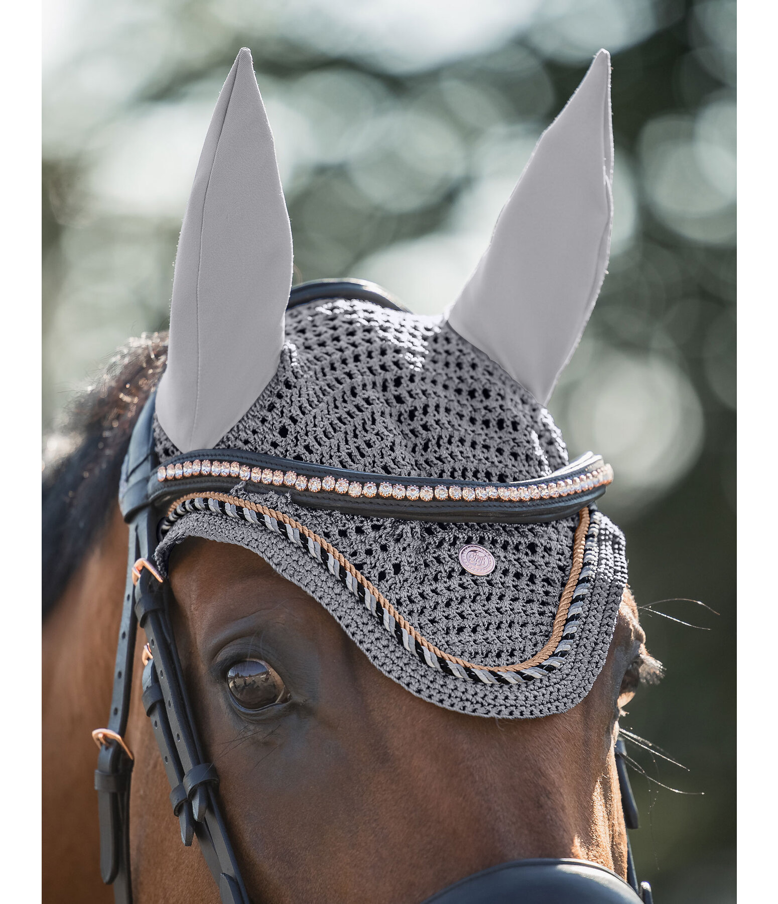 Fliegenhaube Coin