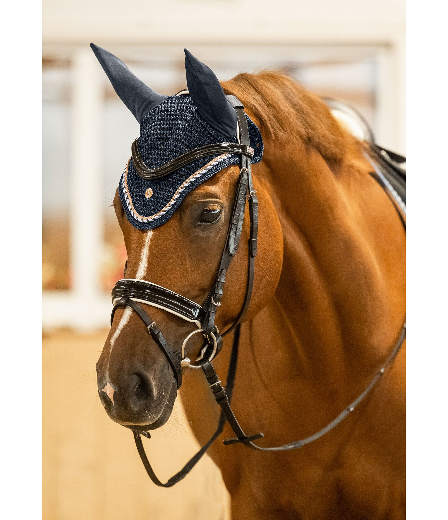 Fliegenhaube Coin