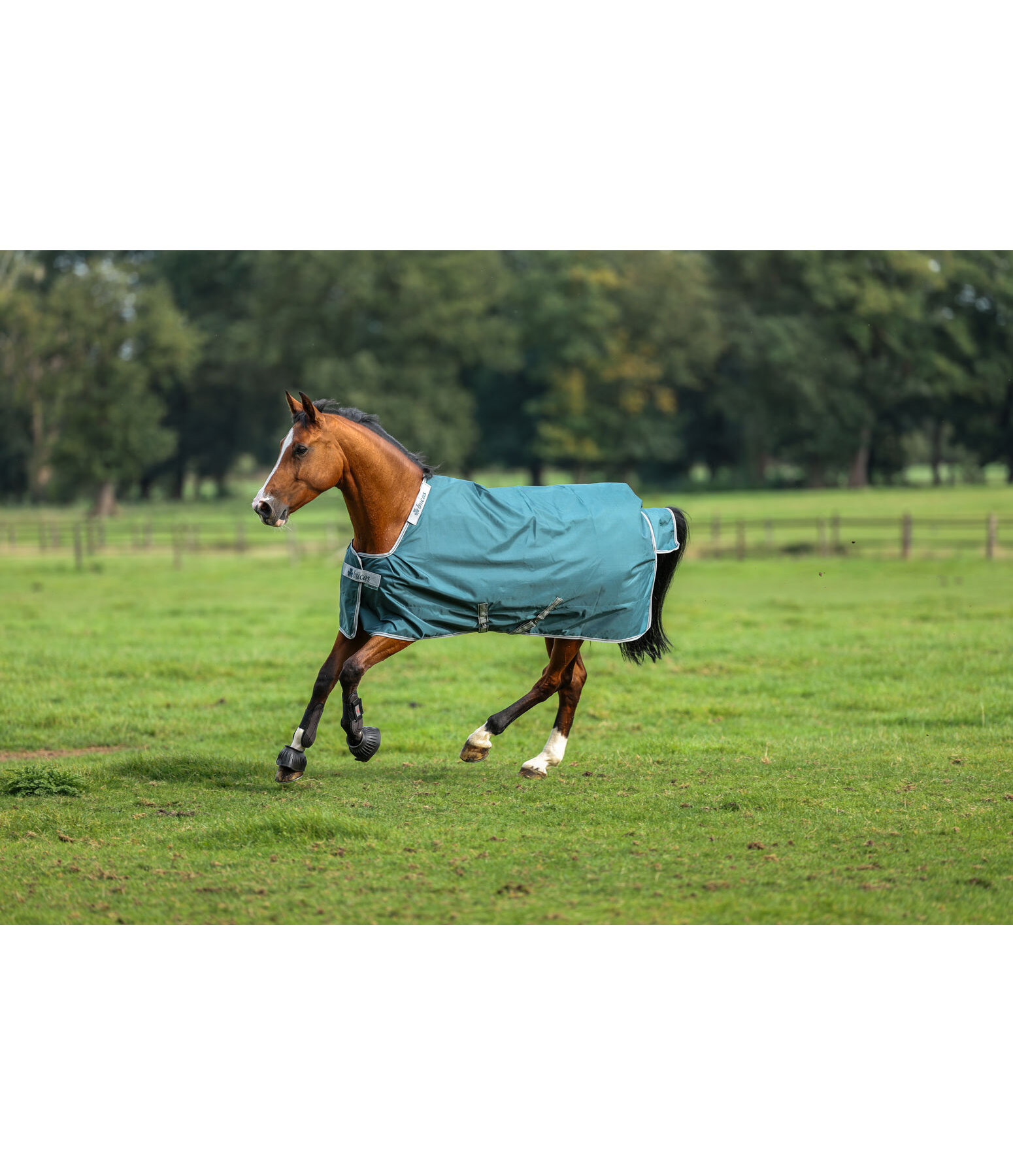 Outdoordecke Atlantic Turnout 50 Regularneck mit Dermo-Care, 50 g