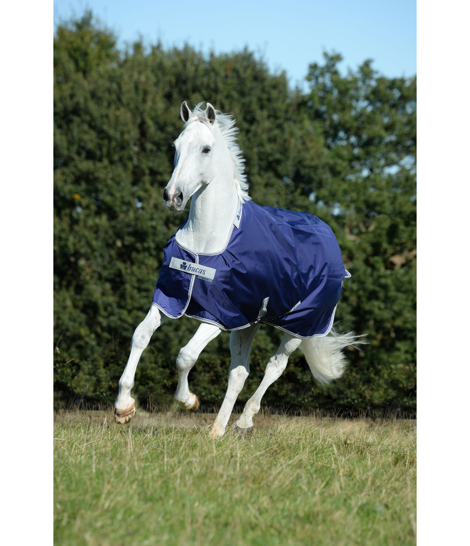 Outdoordecke Atlantic Turnout 50 Regularneck mit Dermo-Care, 50 g