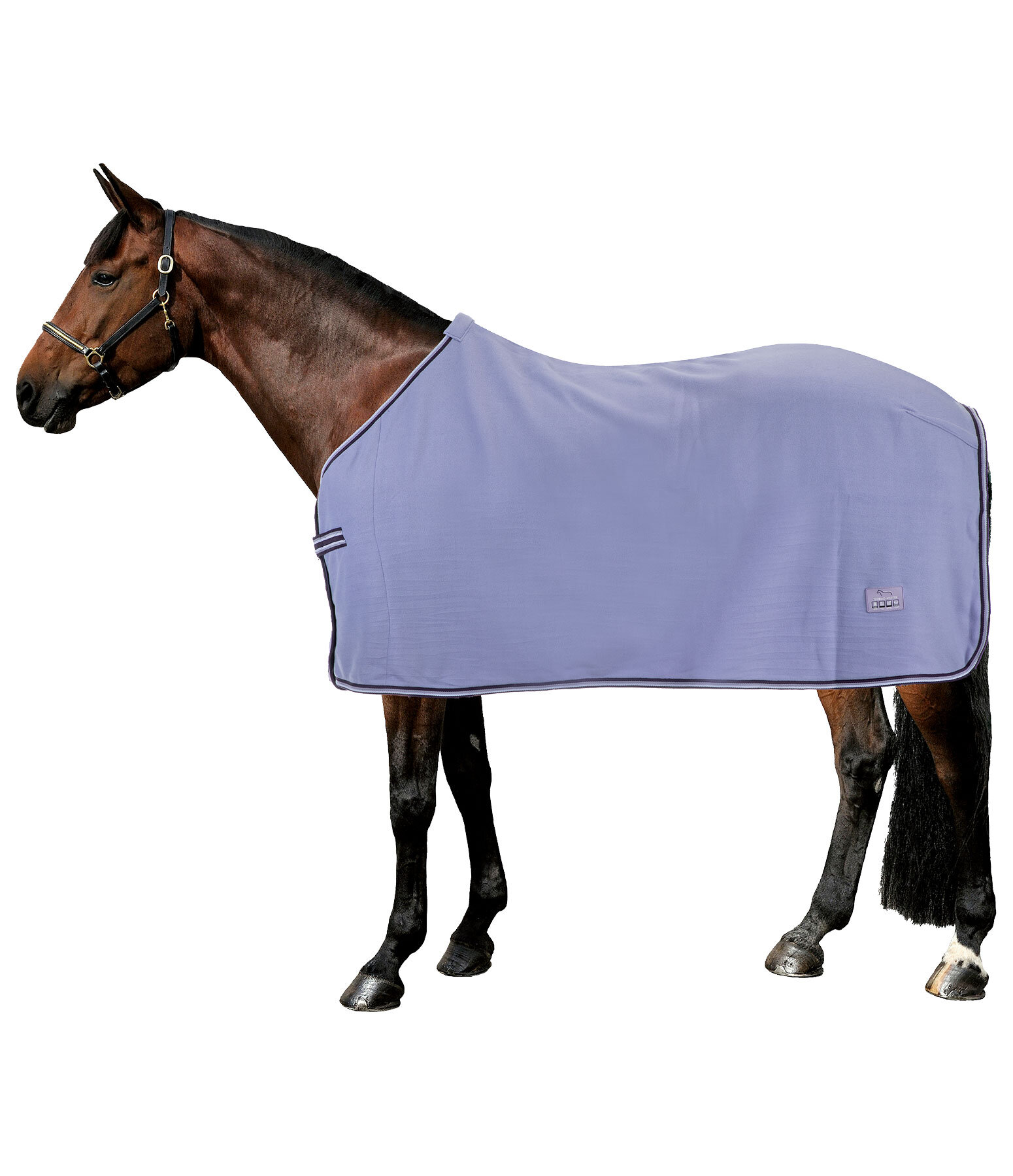 Fleecedecke Economic