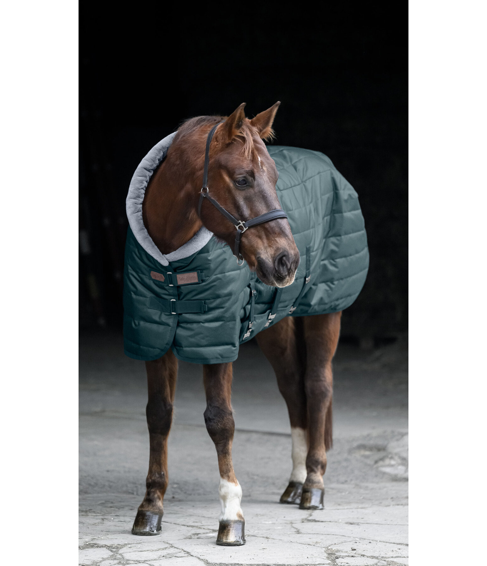 Stalldecke Stay Cozy