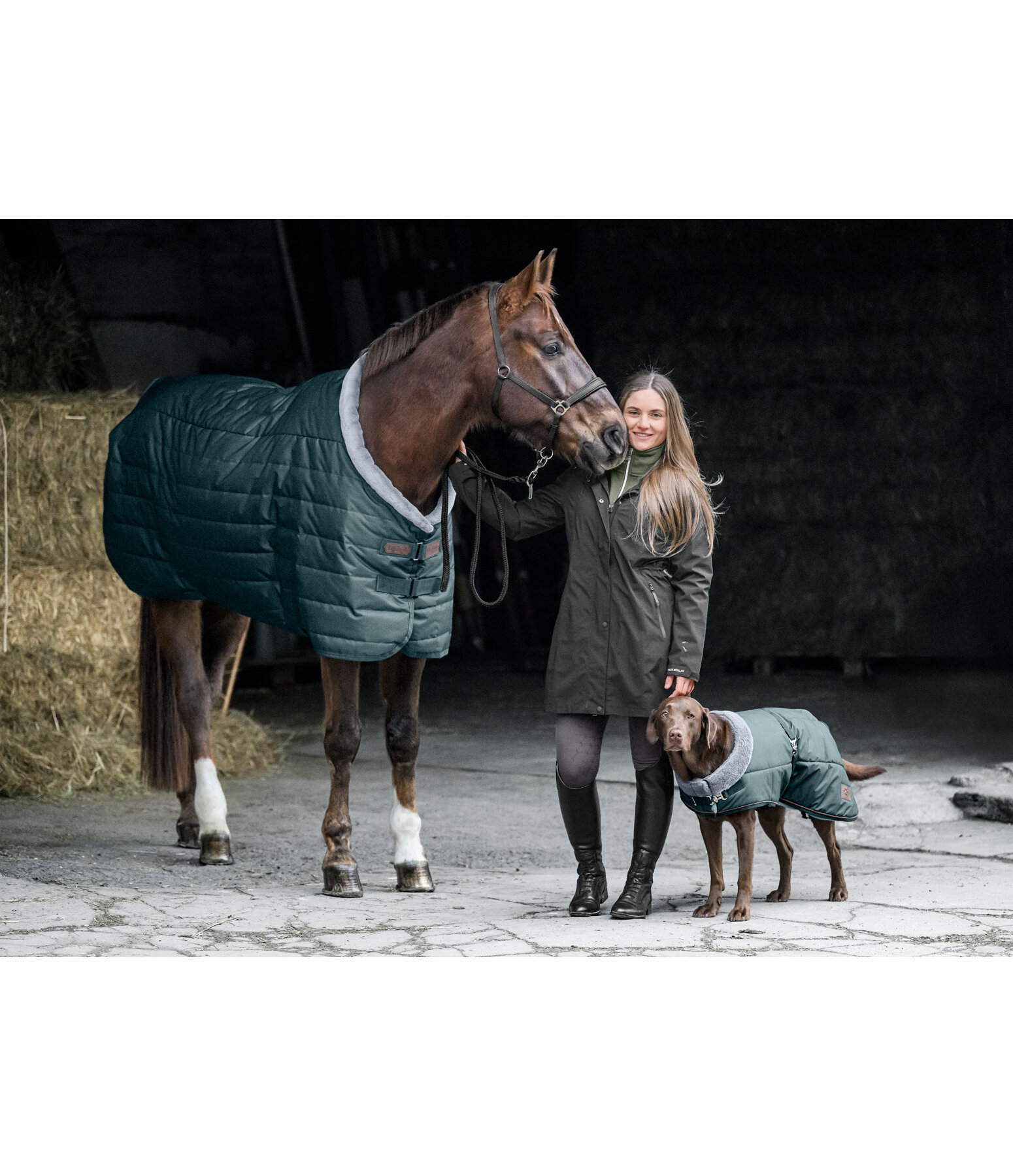 Stalldecke Stay Cozy