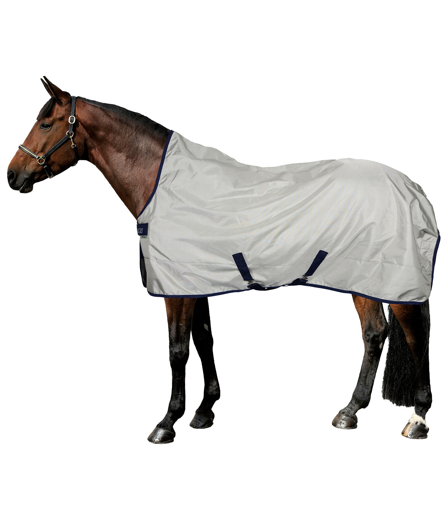 Power Turnout Light Regendecke Highneck mit klassischen Kreuzgurten, 0 g