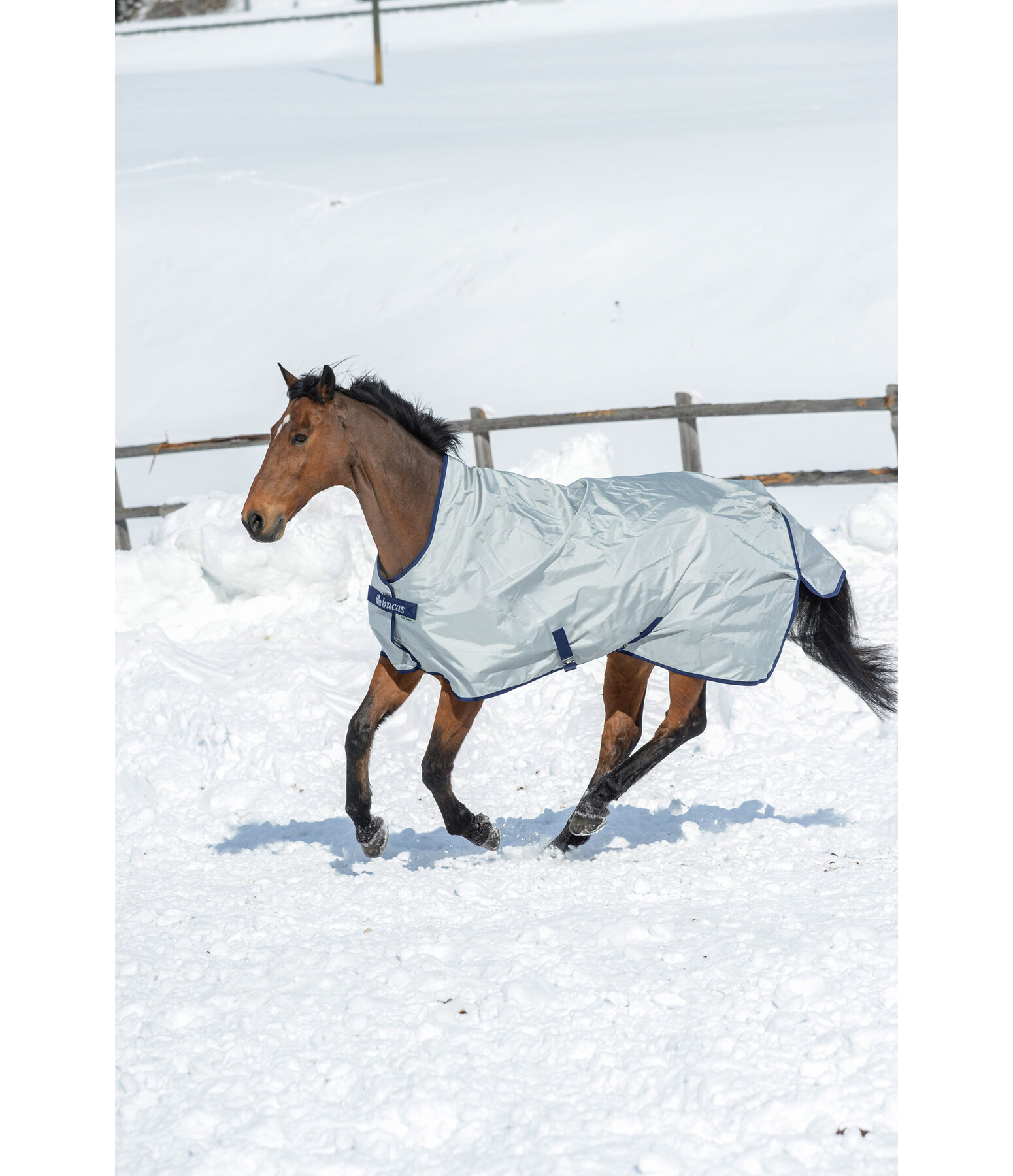 Power Turnout Light Regendecke Highneck mit klassischen Kreuzgurten, 0 g