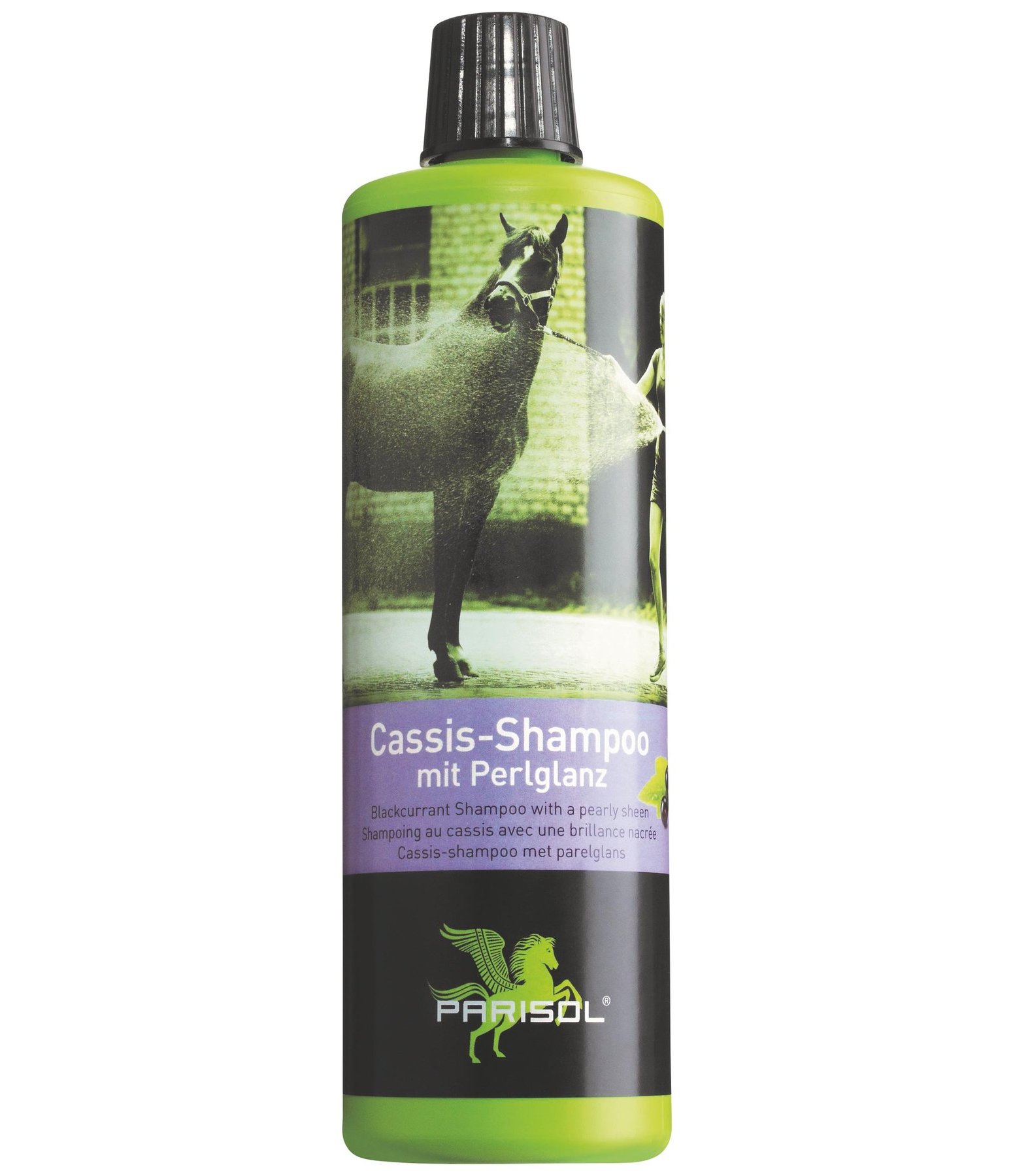 Cassis-Pferdeshampoo mit Perlglanz
