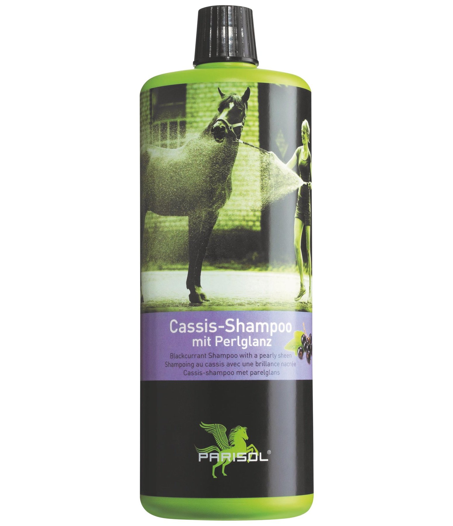 Cassis-Pferdeshampoo mit Perlglanz