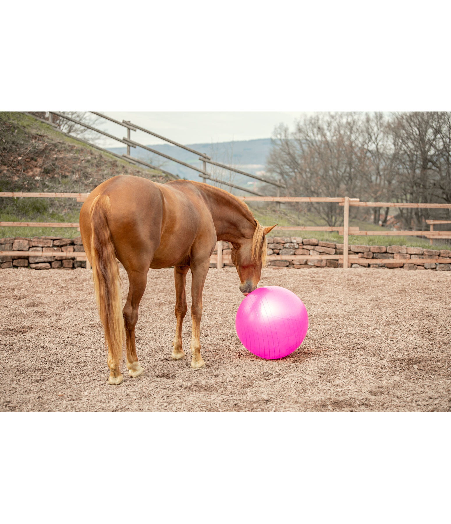 Groer Pferdespielball