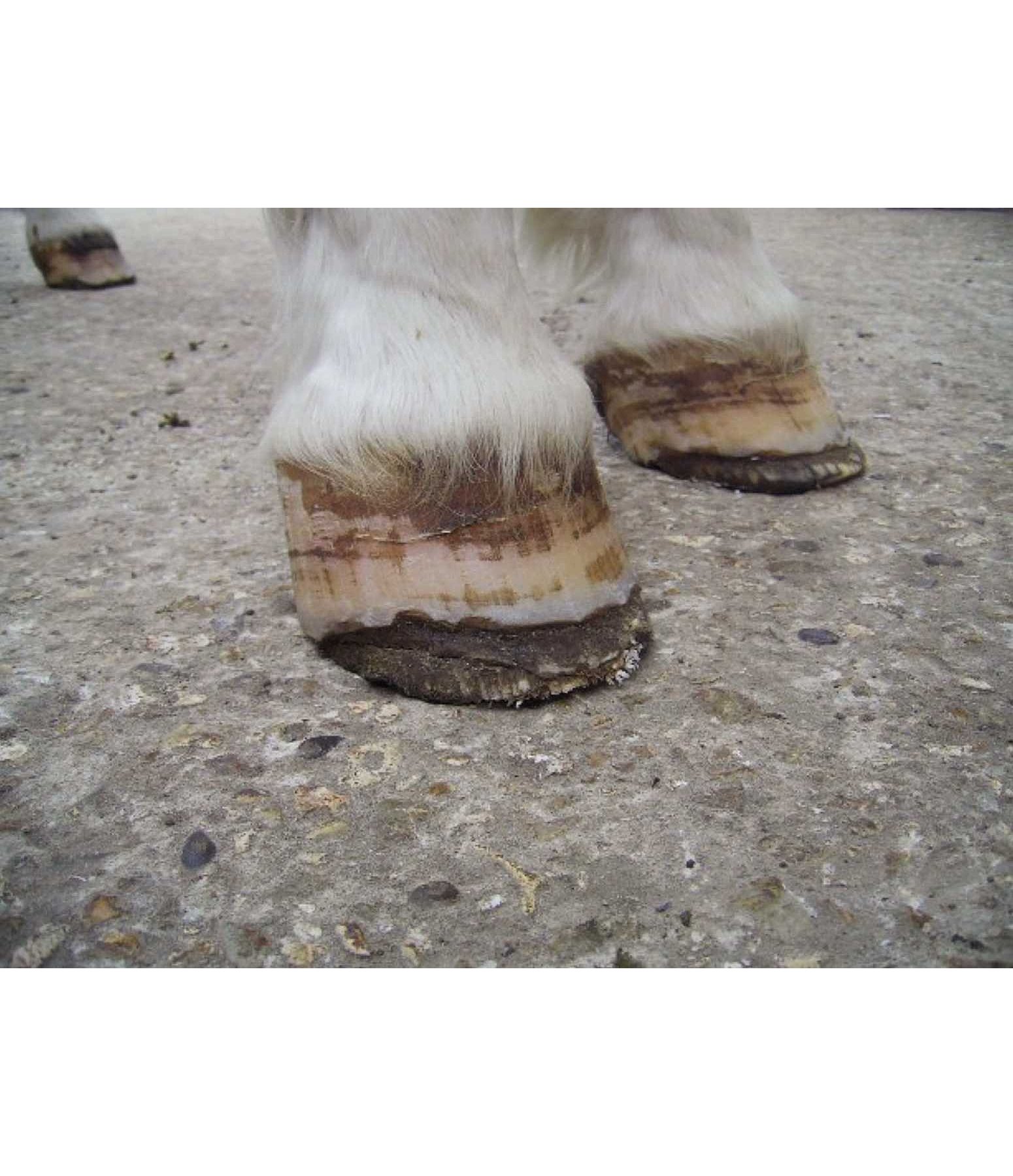 Hufschutzbandage