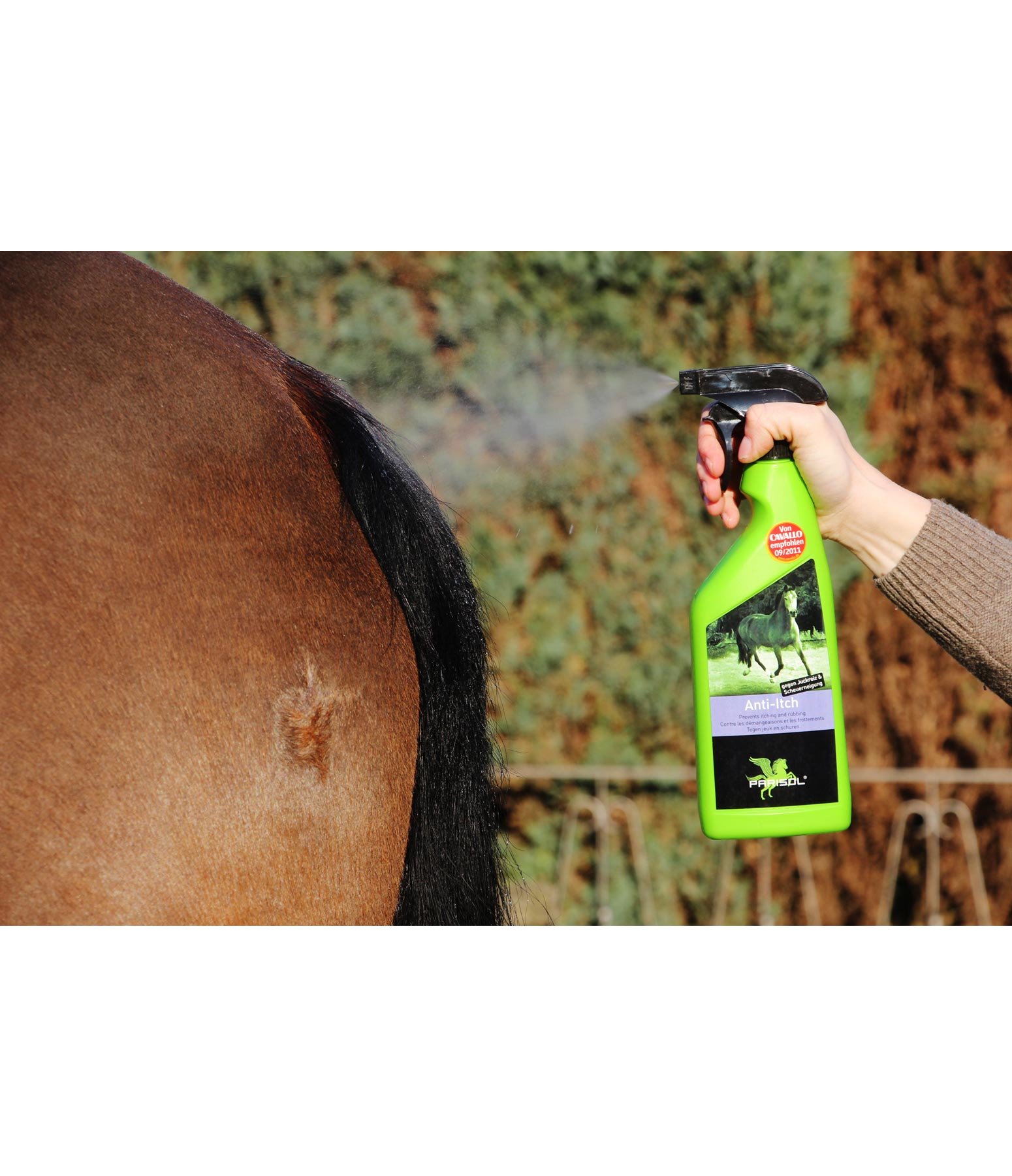 Anti-Itch Spray