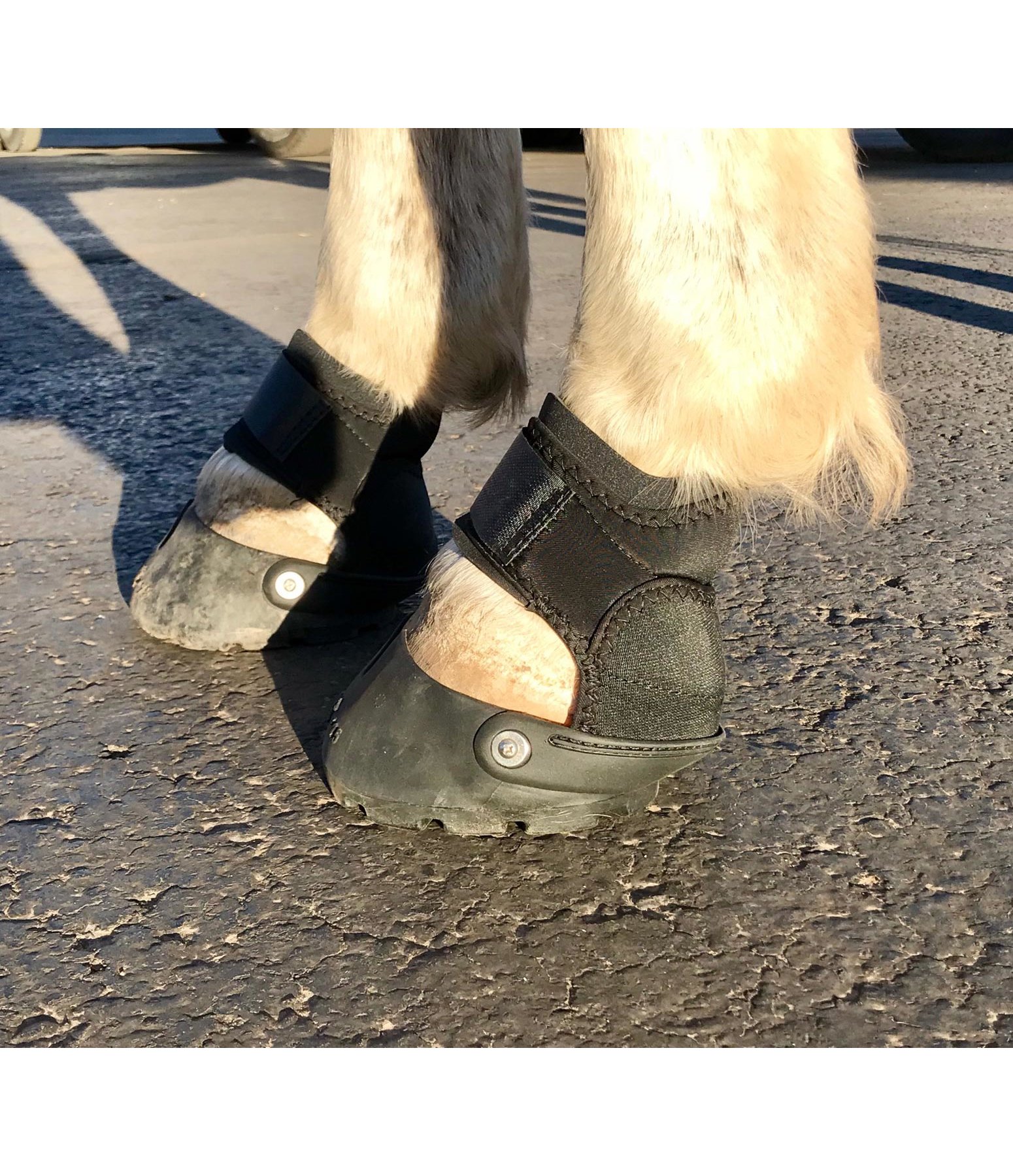 Easycare Easyboot Glove Soft