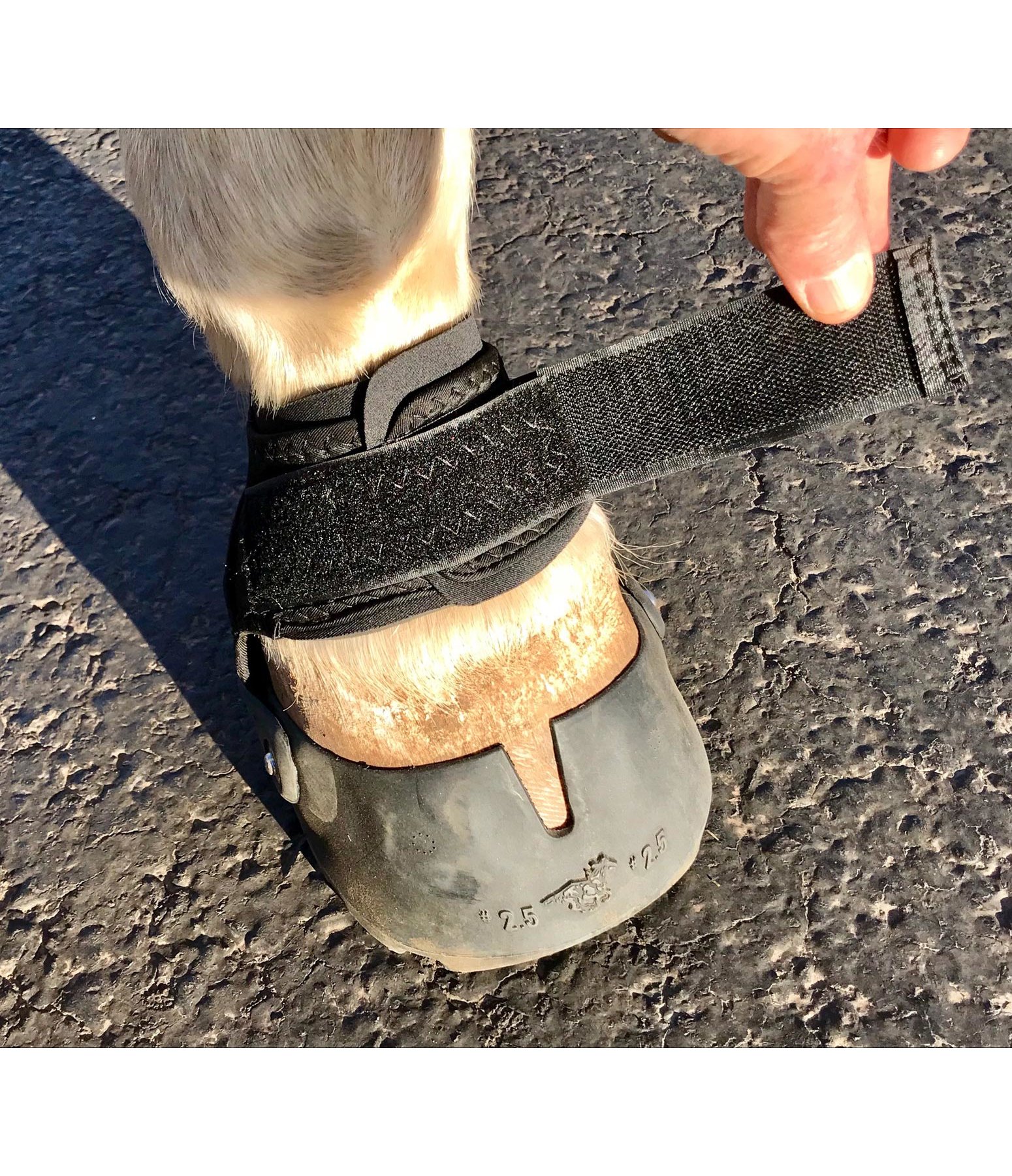 Easycare Easyboot Glove Soft