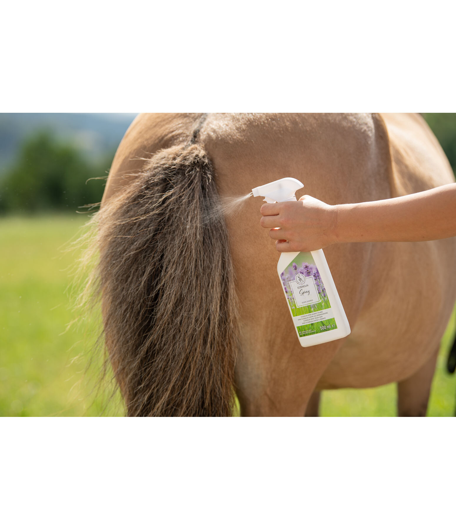 Eczemolin Spray für Pferde