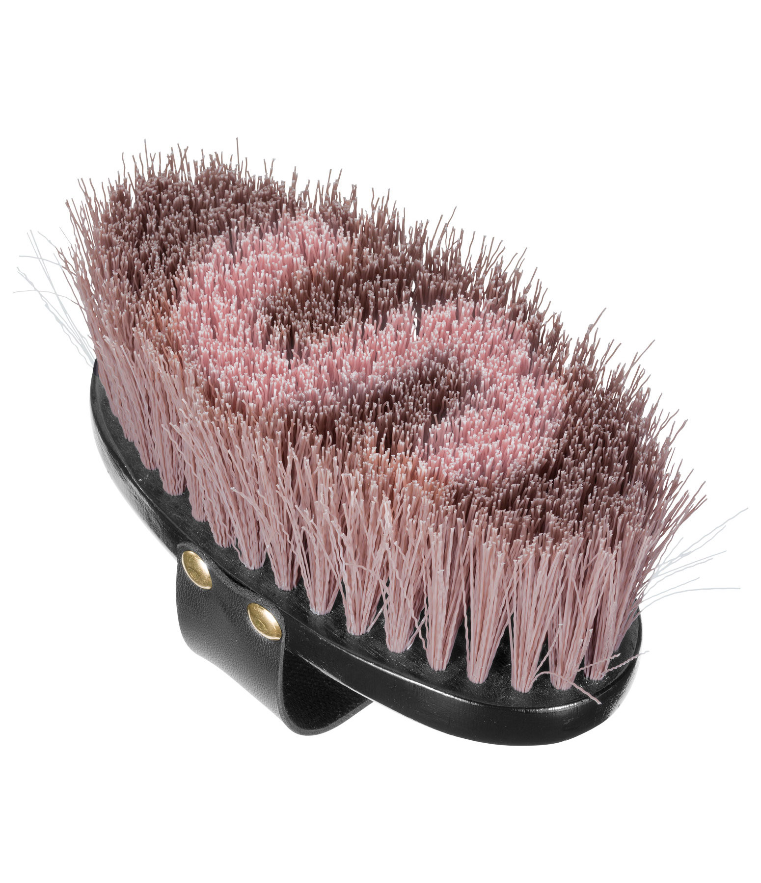 Maxi-Wurzelkardätsche