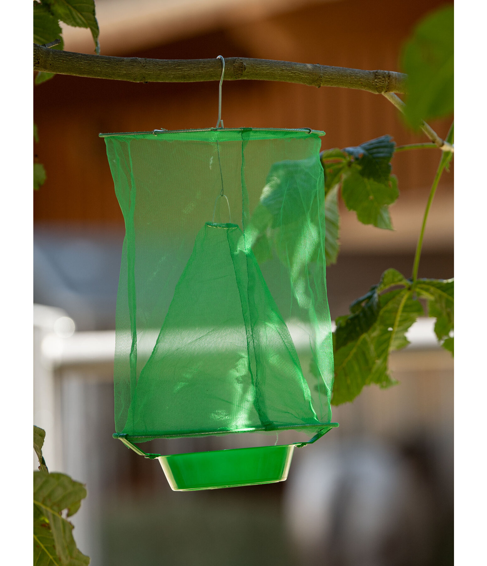 Fliegenfalle Supergünstig