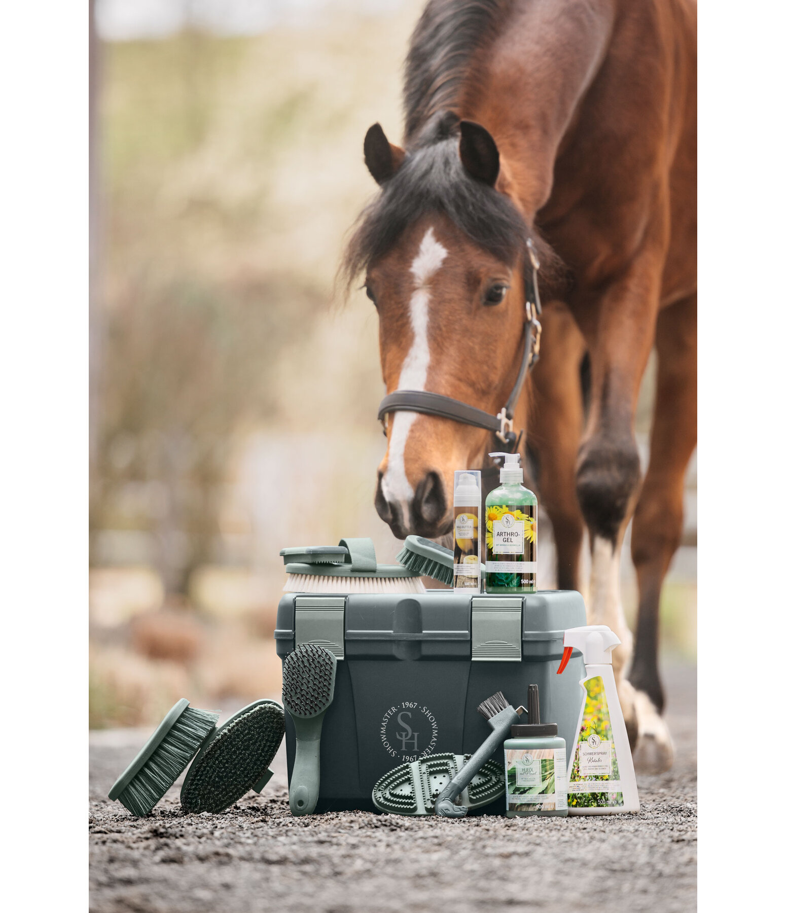 Hufauskratzer Horse