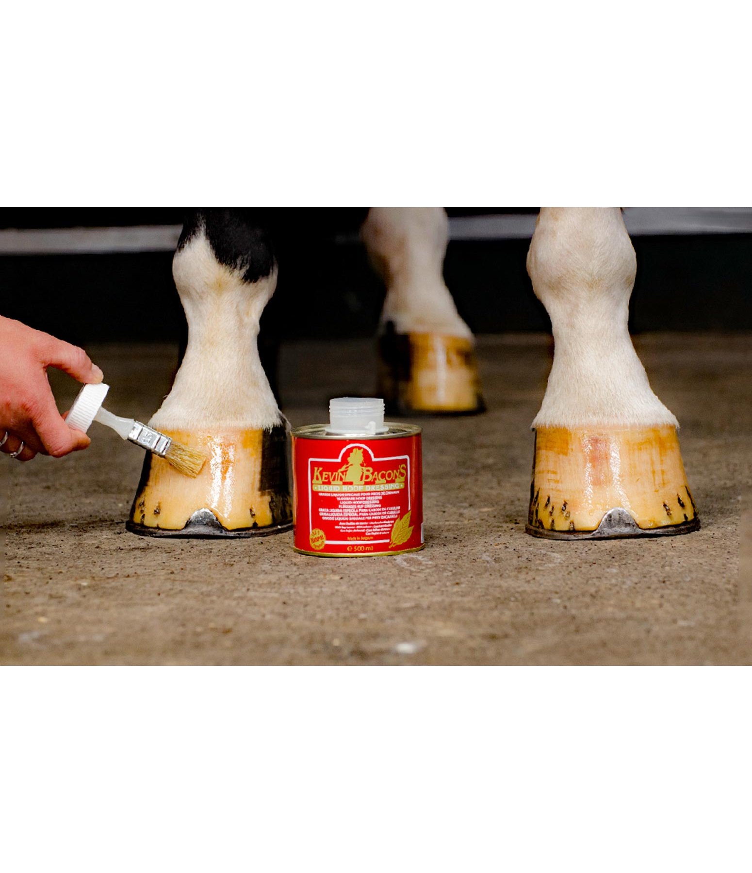 Liquid Hoof Dressing